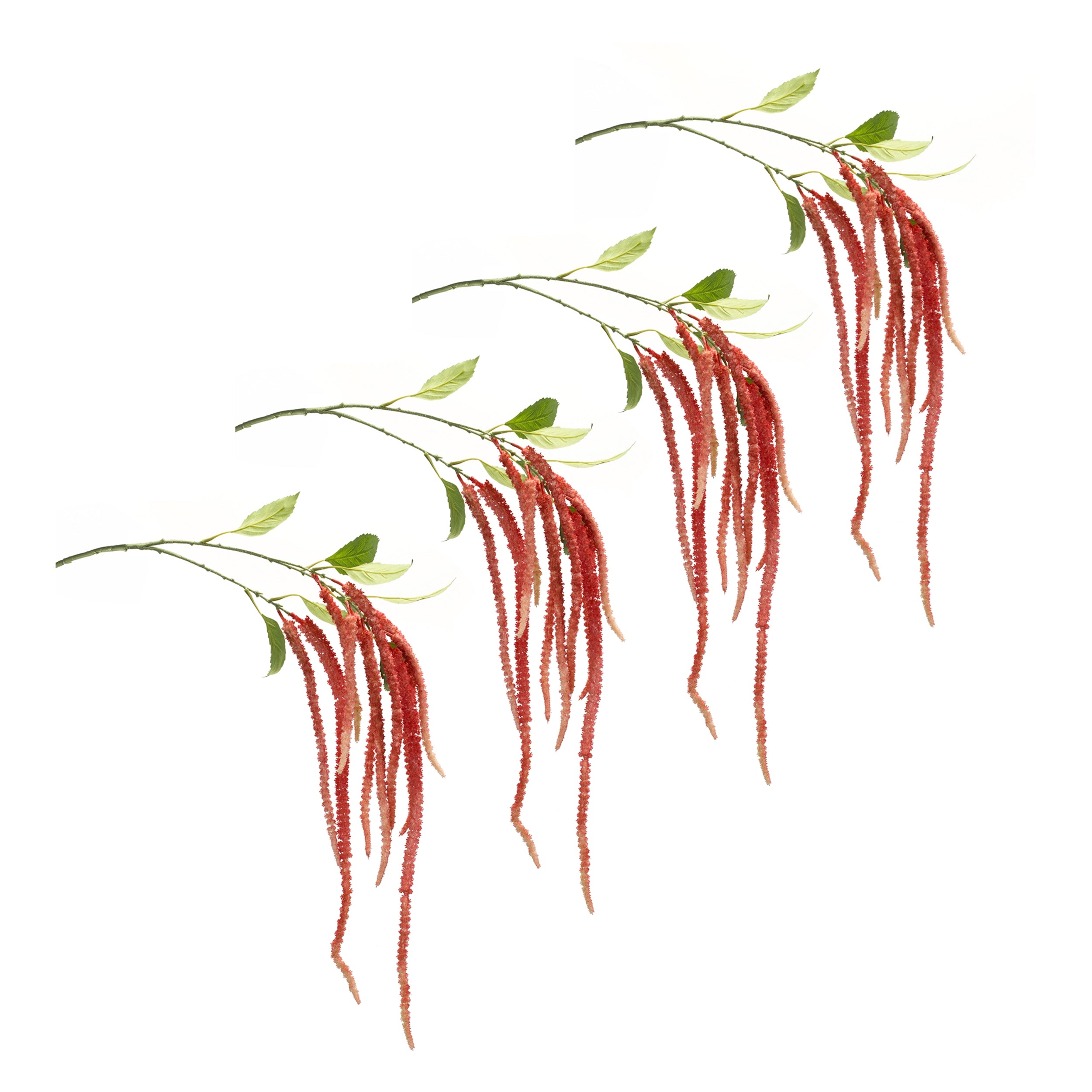 Amaranthus Floral Stem, Set of 4