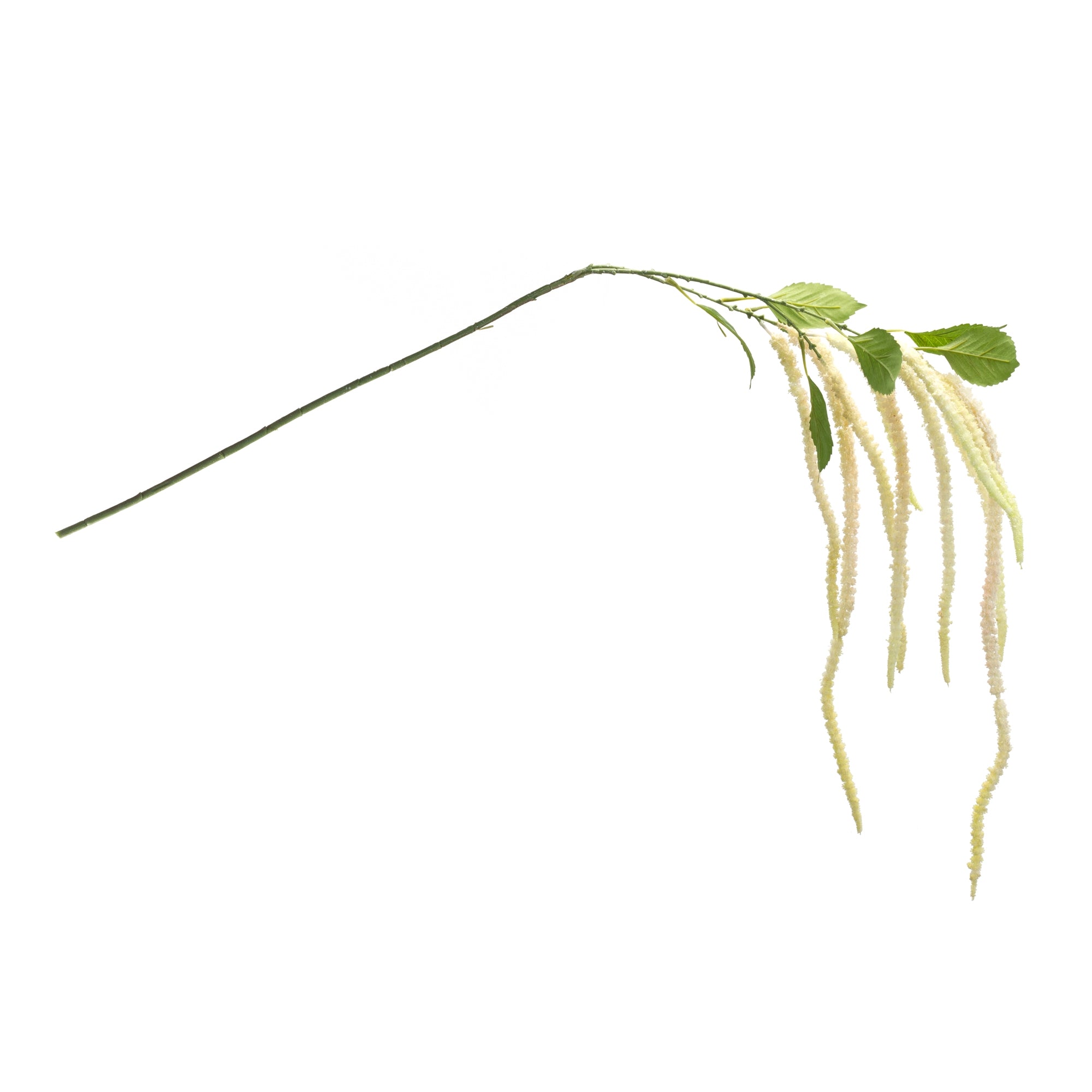 White Amaranthus Floral Stem, Set of 4
