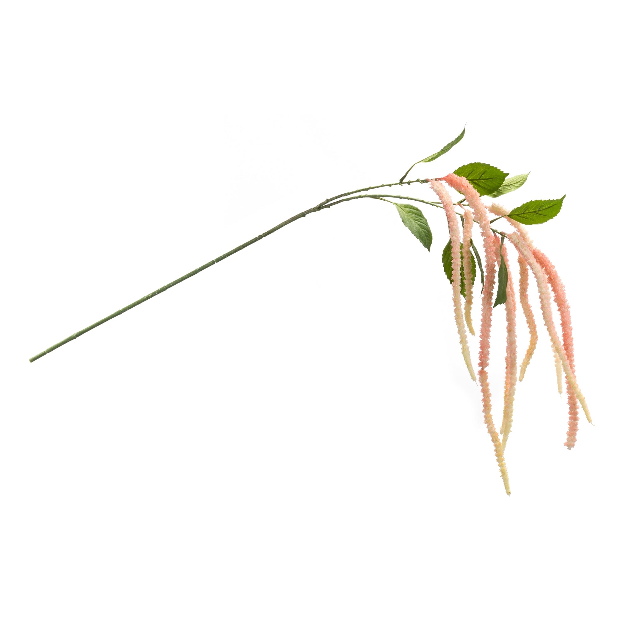 Amaranthus Floral Stem, Set of 4