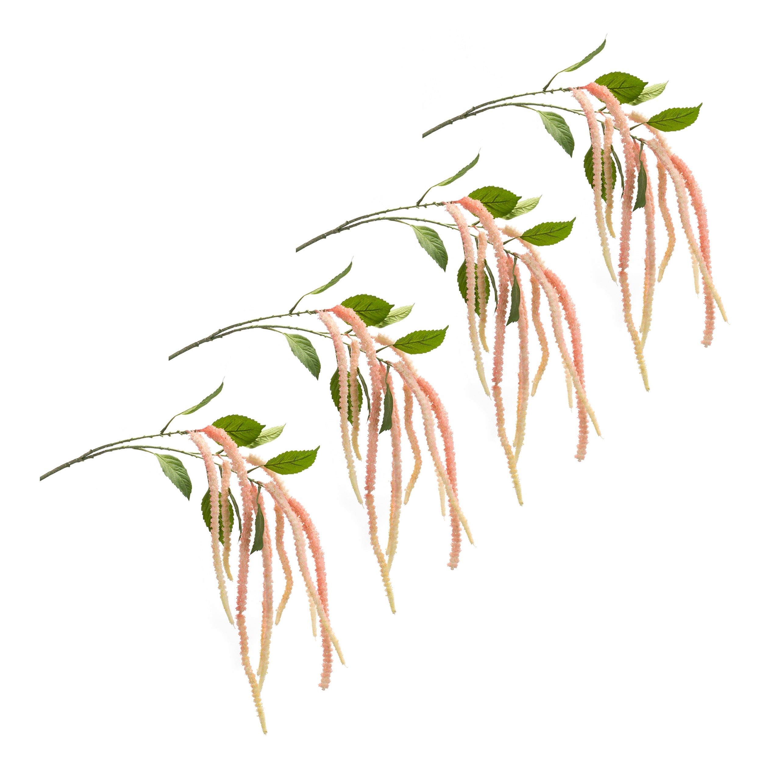 Amaranthus Floral Stem, Set of 4