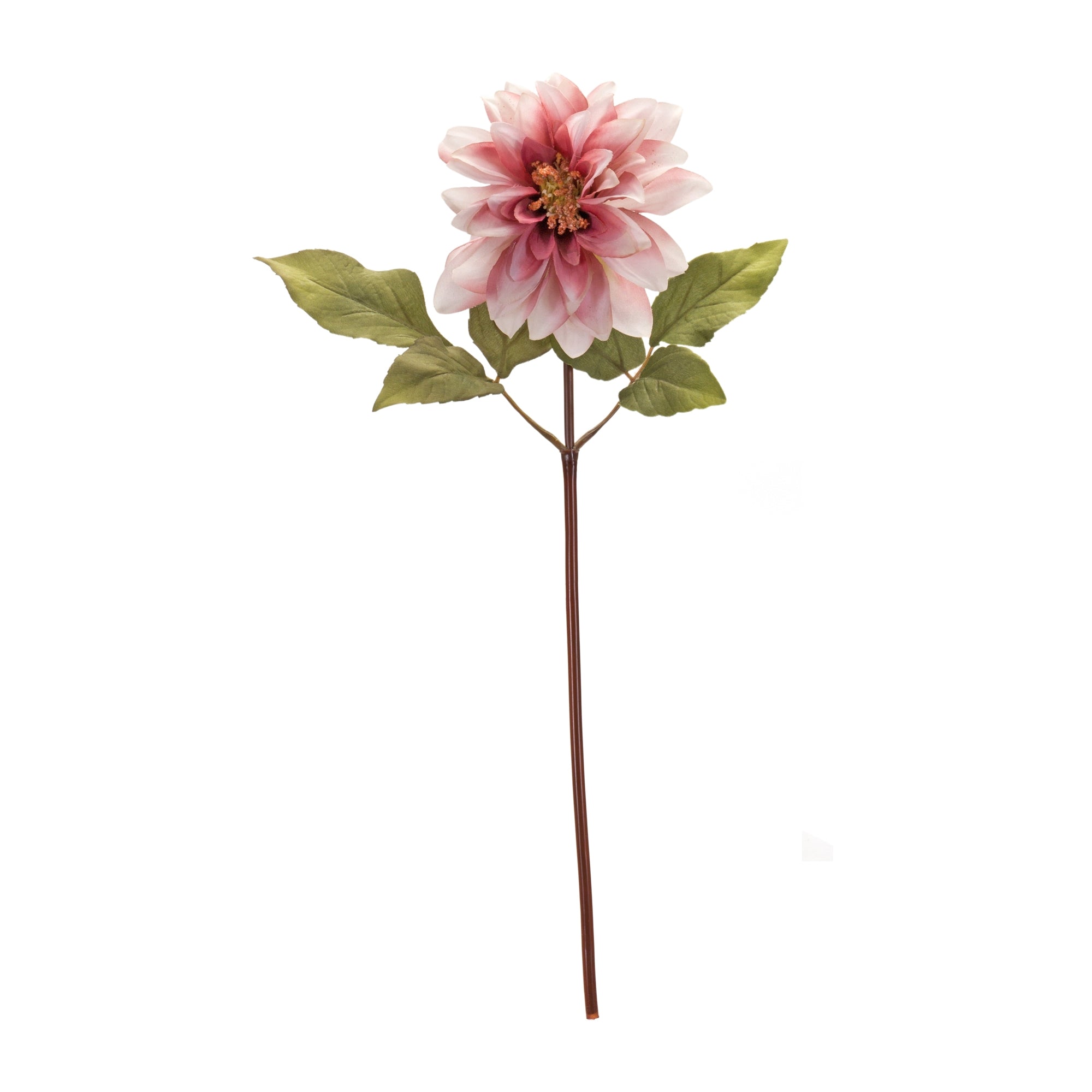Blush Pink Dahlia Flower Stem, Set of 6