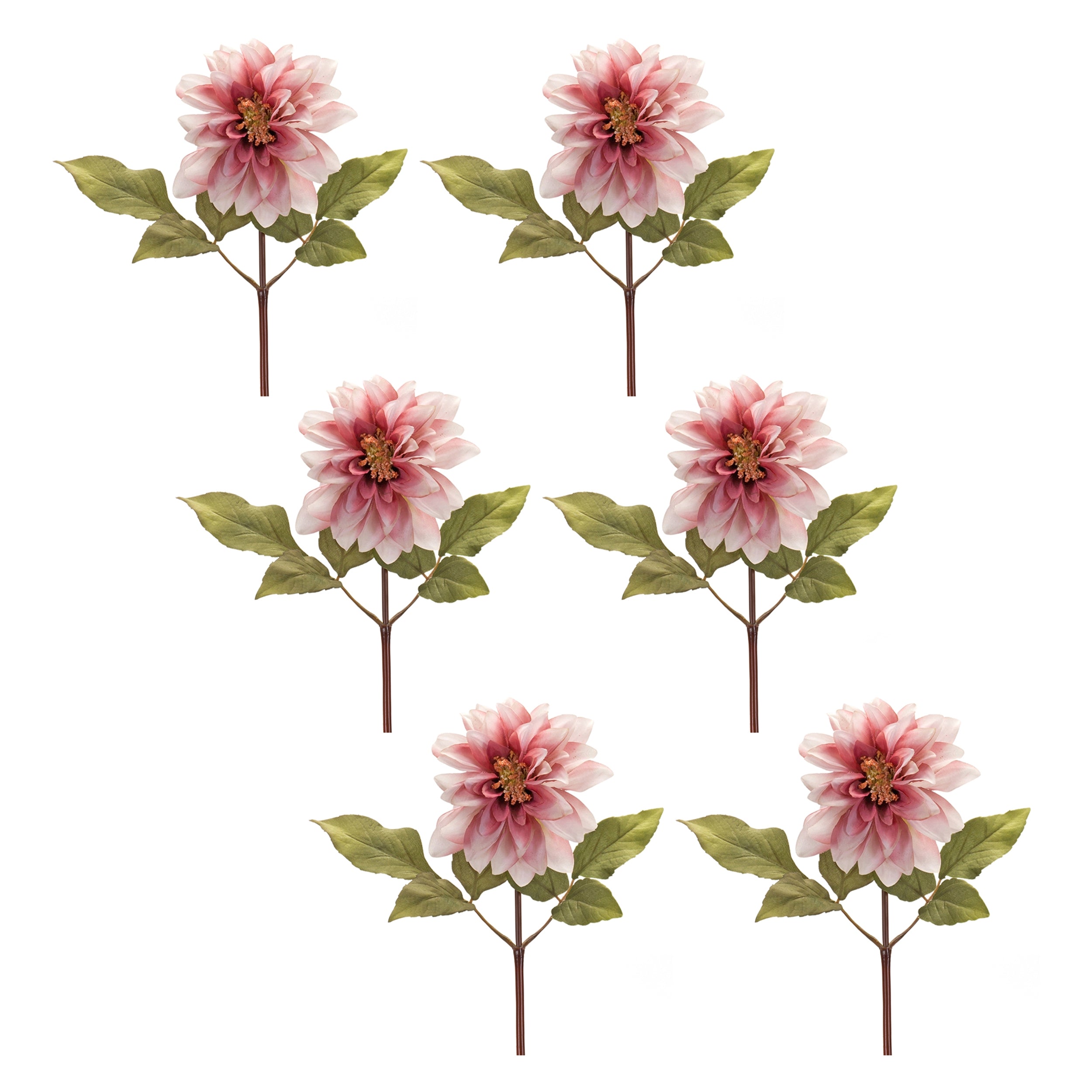 Blush Pink Dahlia Flower Stem, Set of 6