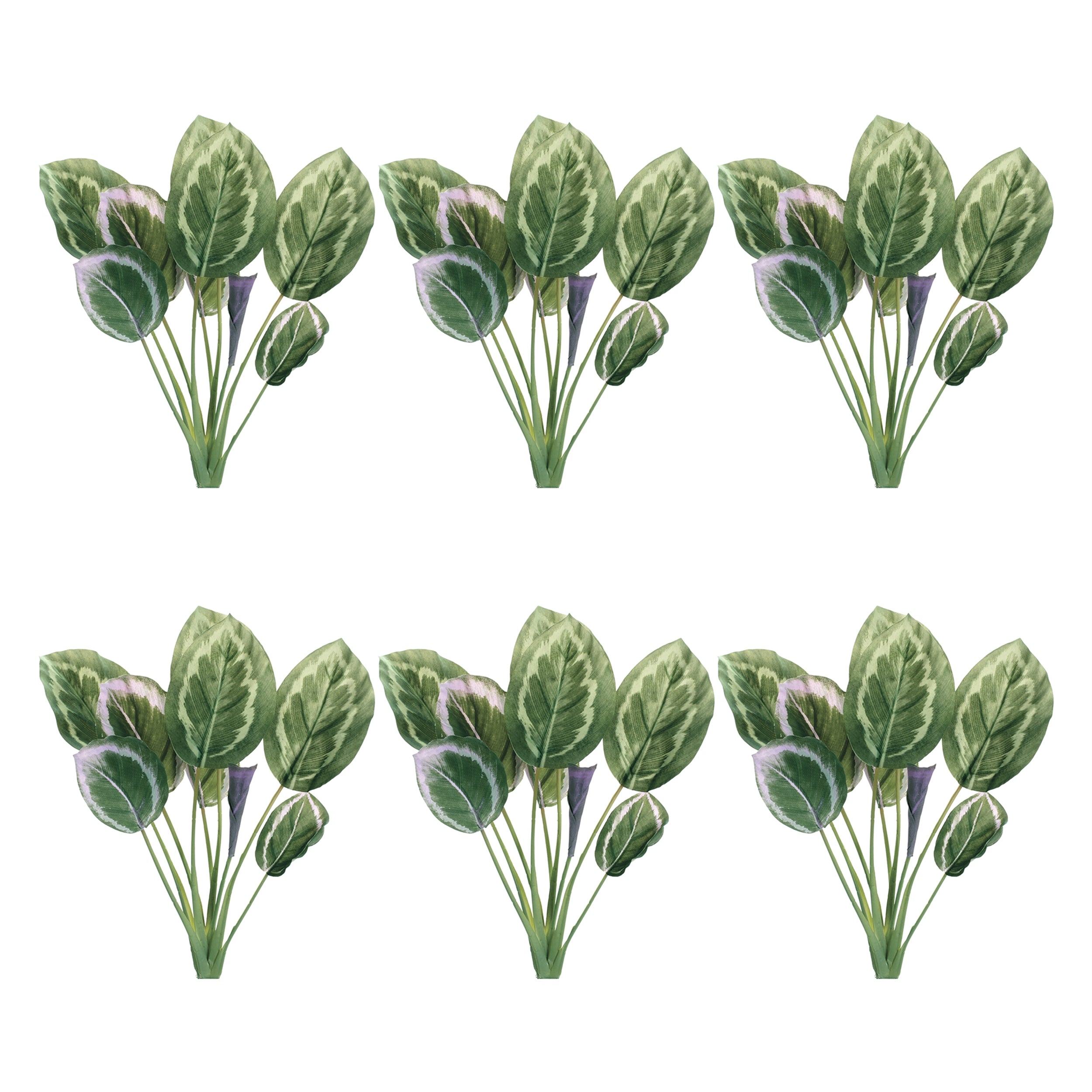 Prayer Plant Foliage Bush, Set of 6