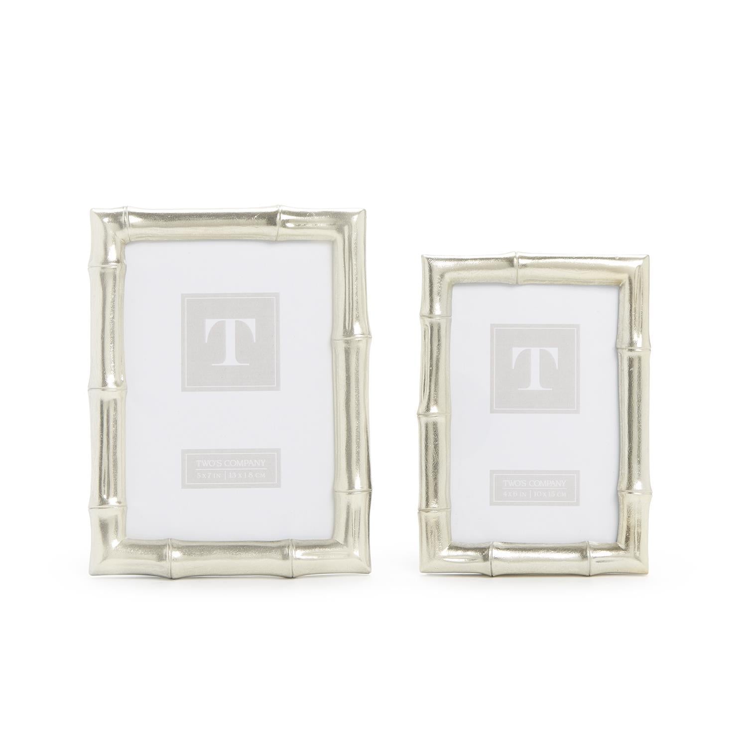 Silver Faux Bamboo Photo Frame, Set of 2