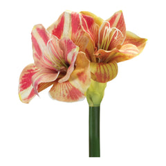 Amaryllis-Flower-Stem-(Set-of-2)-Faux-Florals