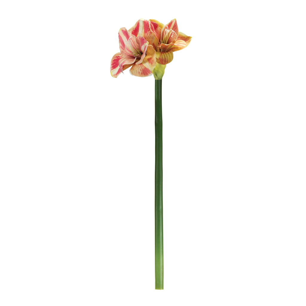 Amaryllis Flower Stem (Set of 2)