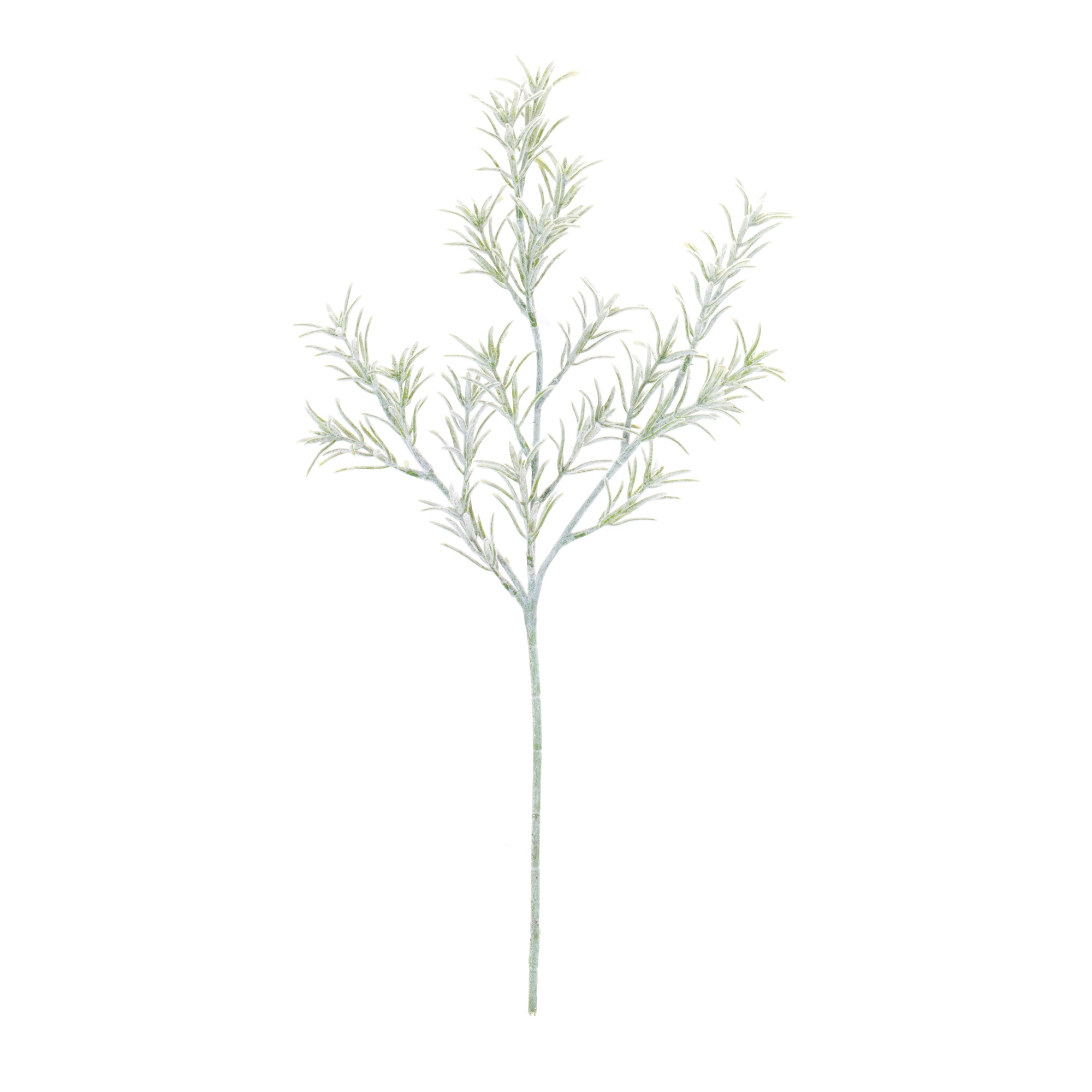 Rosemary Foliage Spray, Set of 6