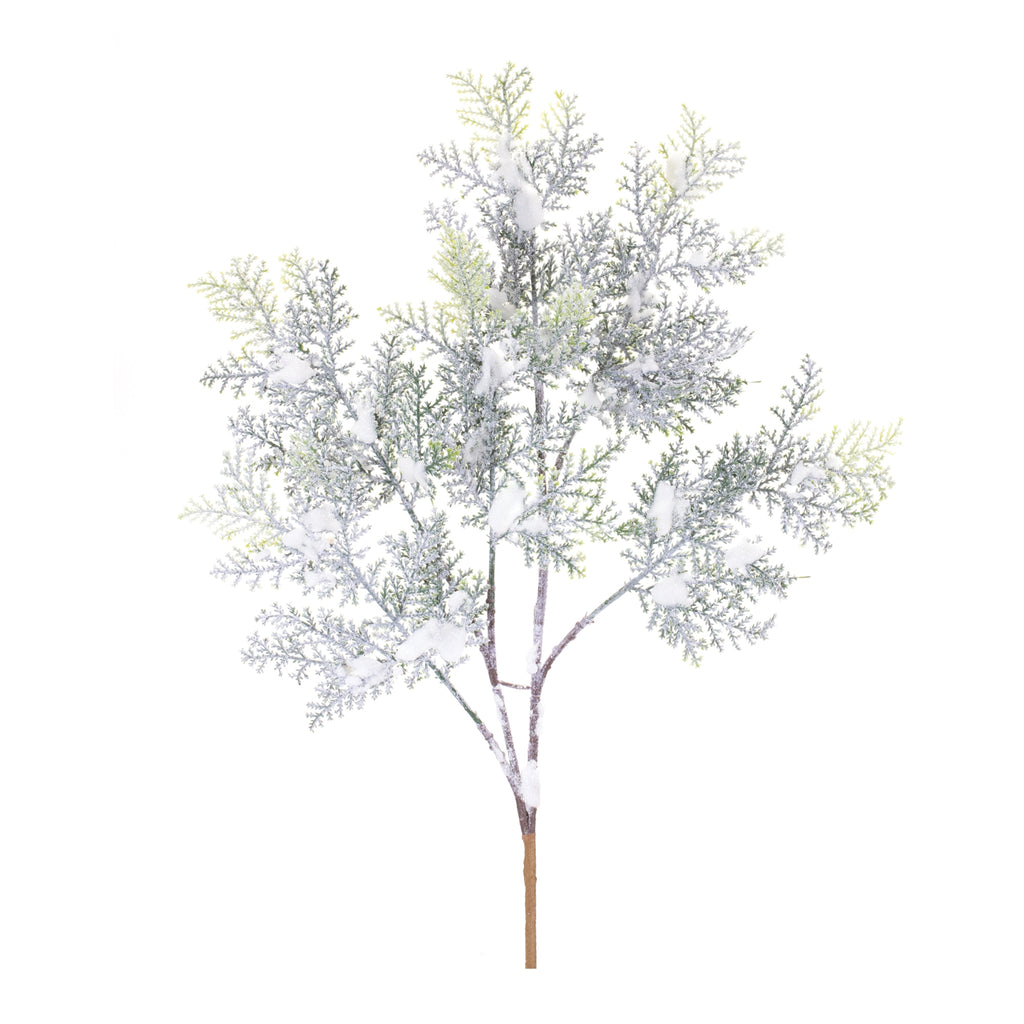 Flocked-Cedar-Branch-(Set-of-12)-Faux-Florals