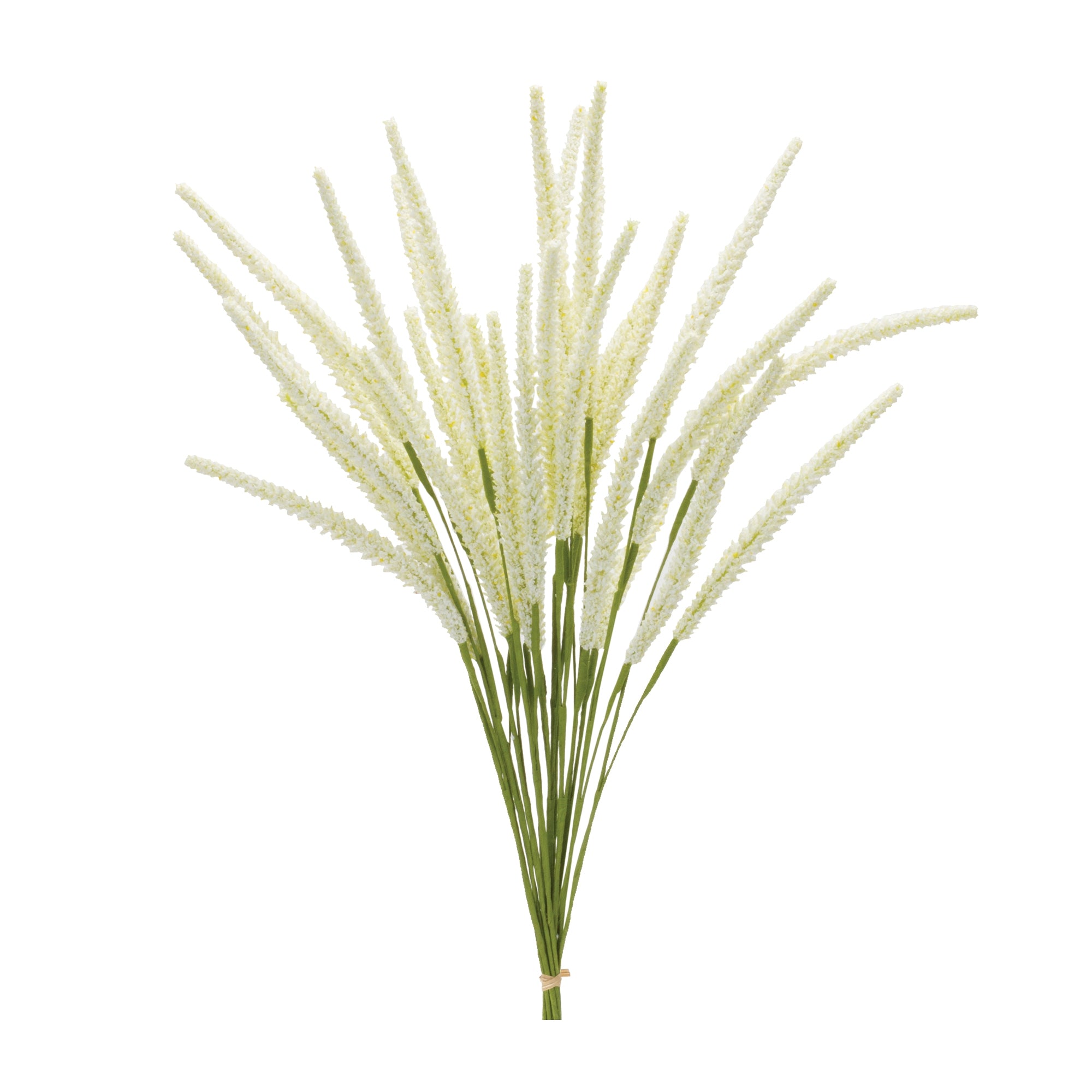 Foxtail Bundle, Set of 6