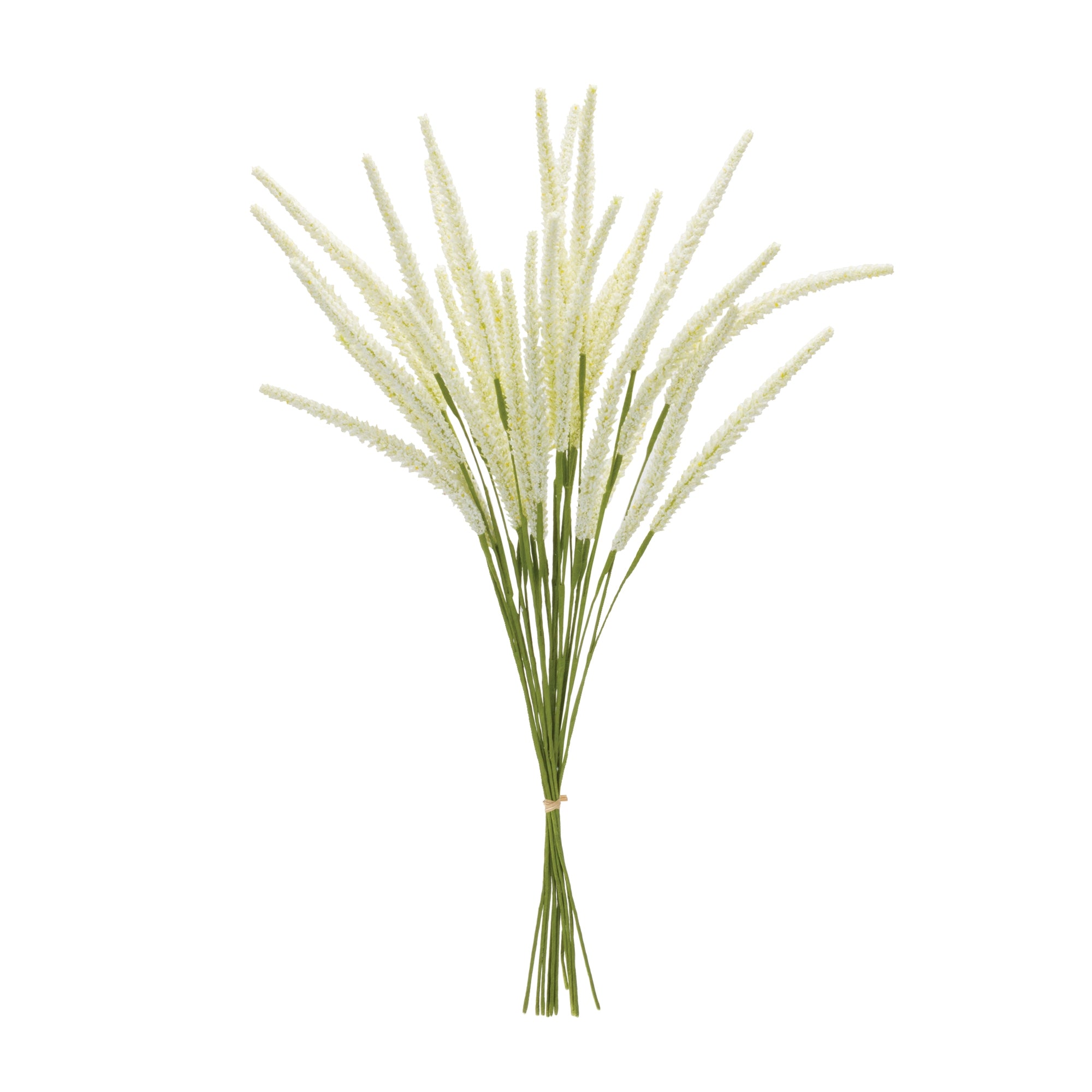 Foxtail Bundle, Set of 6