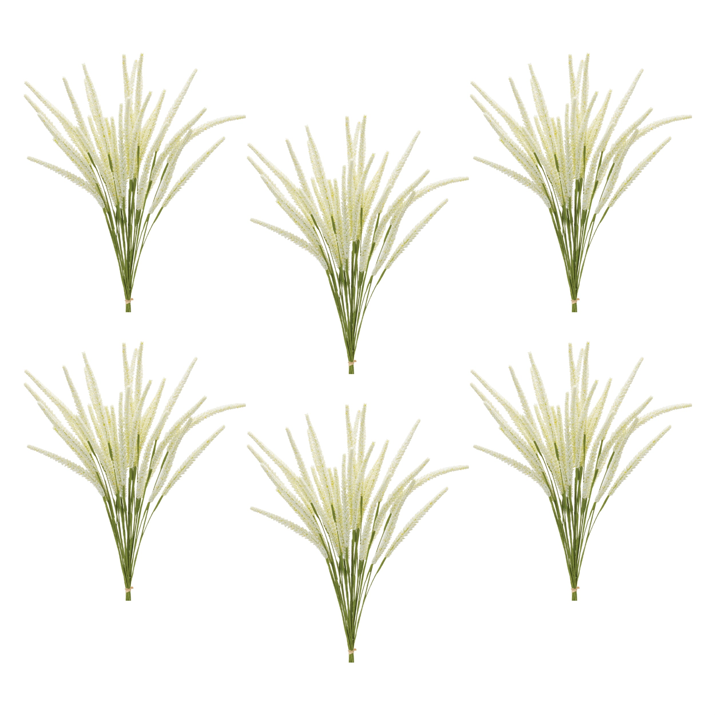 Foxtail Bundle, Set of 6