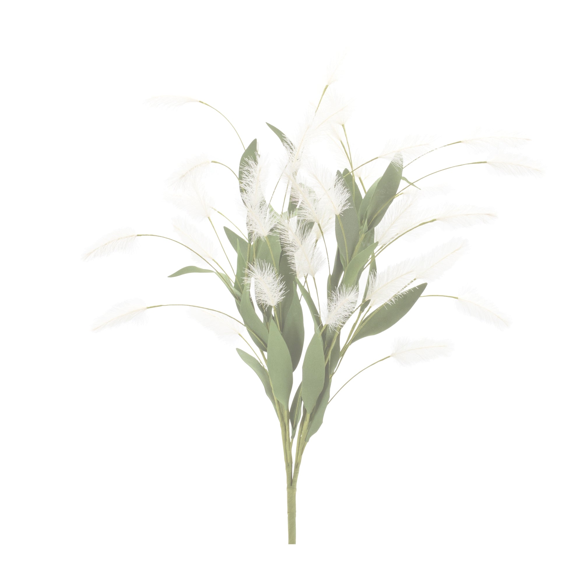 White Plume Bush, Set of 2