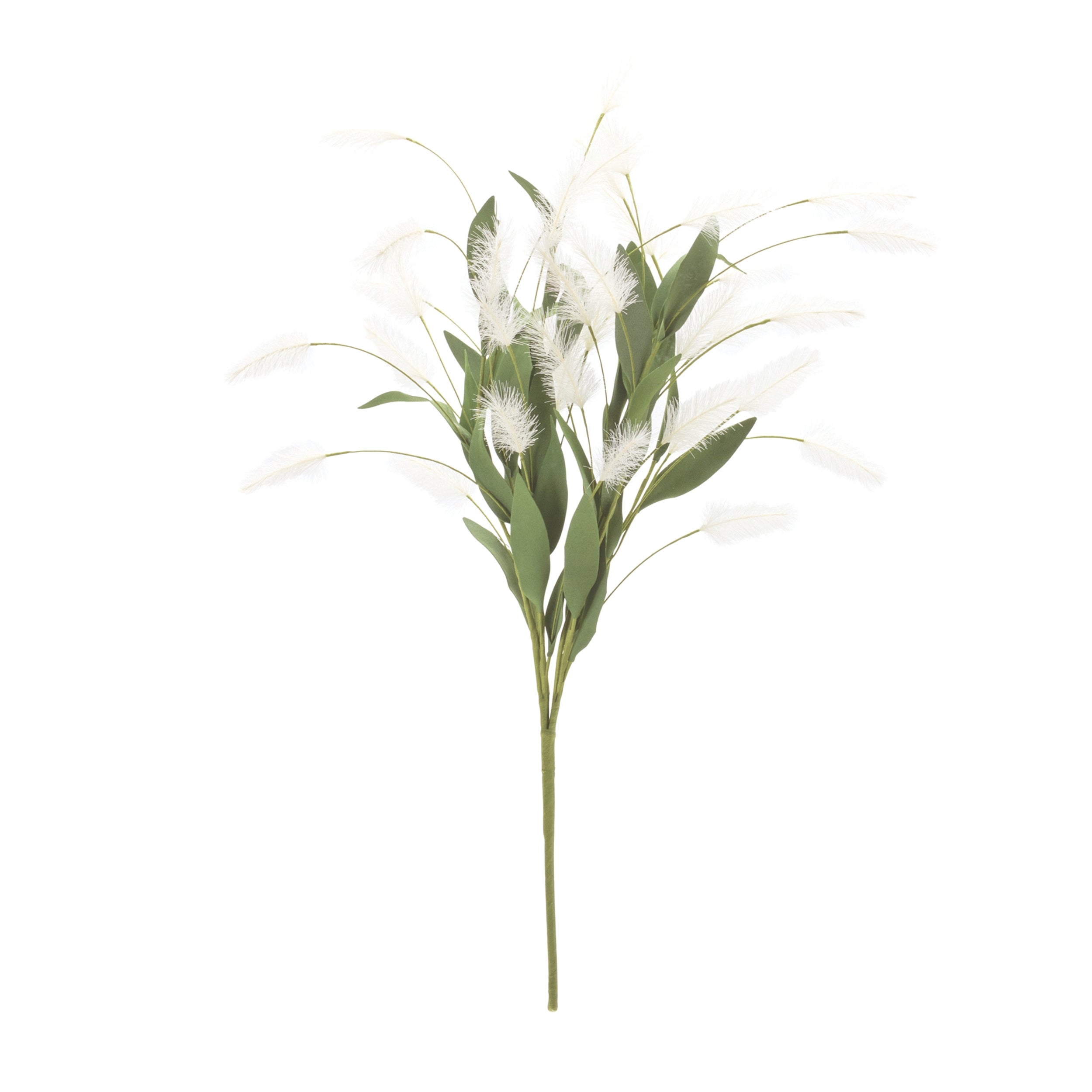 White Plume Bush, Set of 2