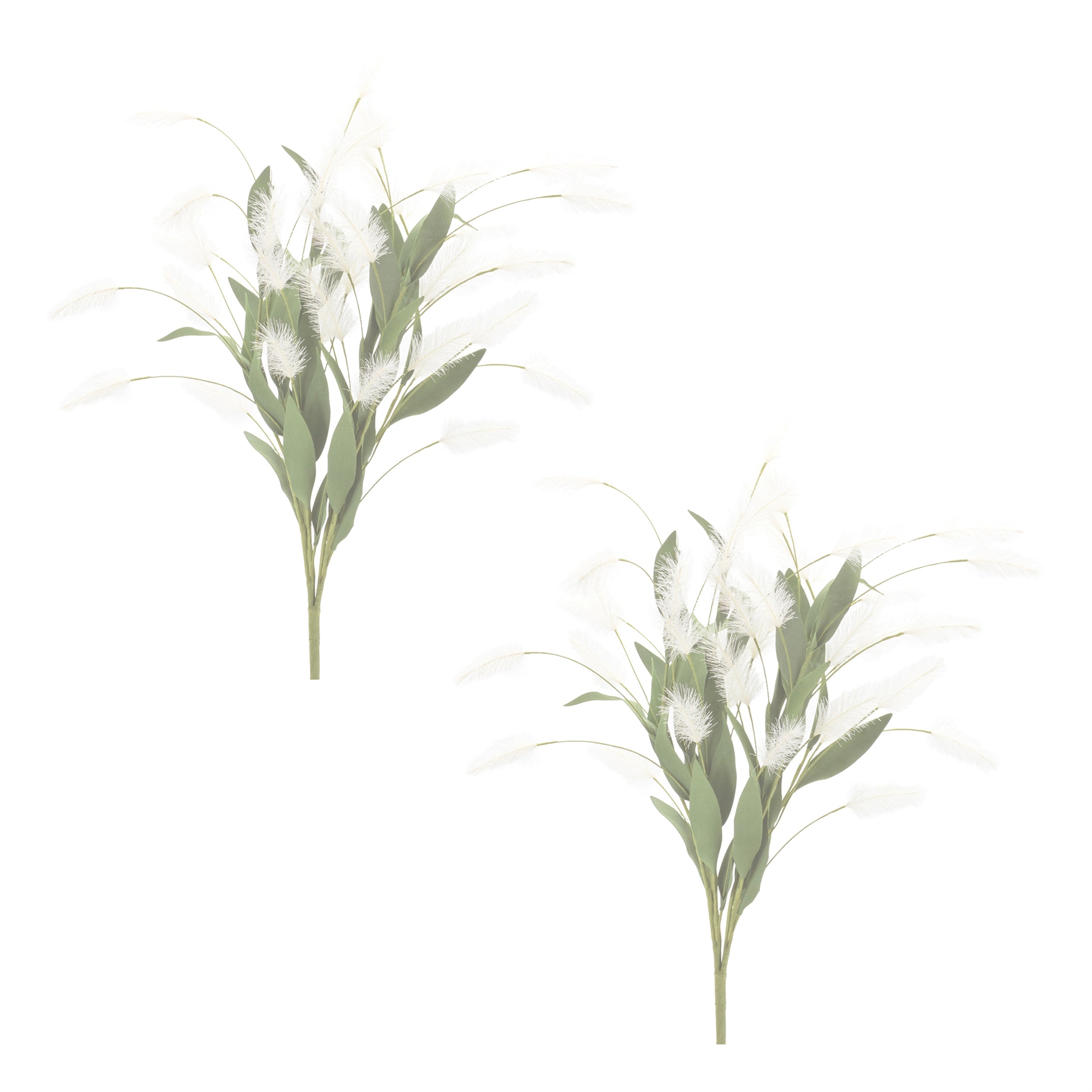 White Plume Bush, Set of 2