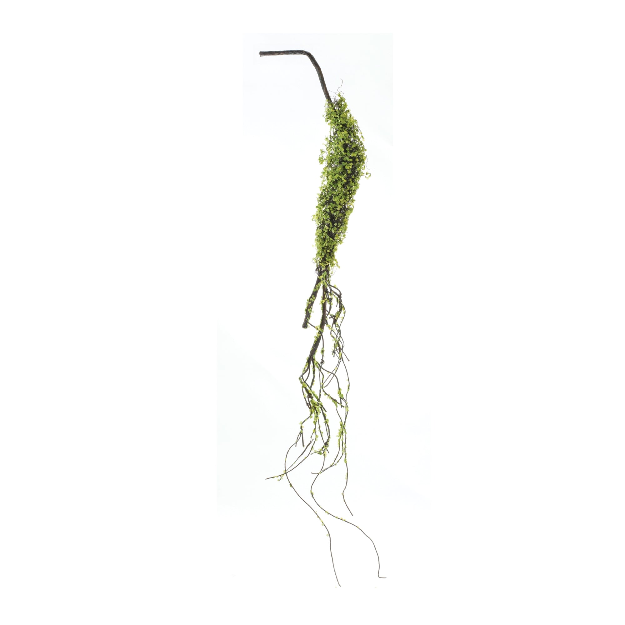 Moss Foliage Vine Branch, Set of 2