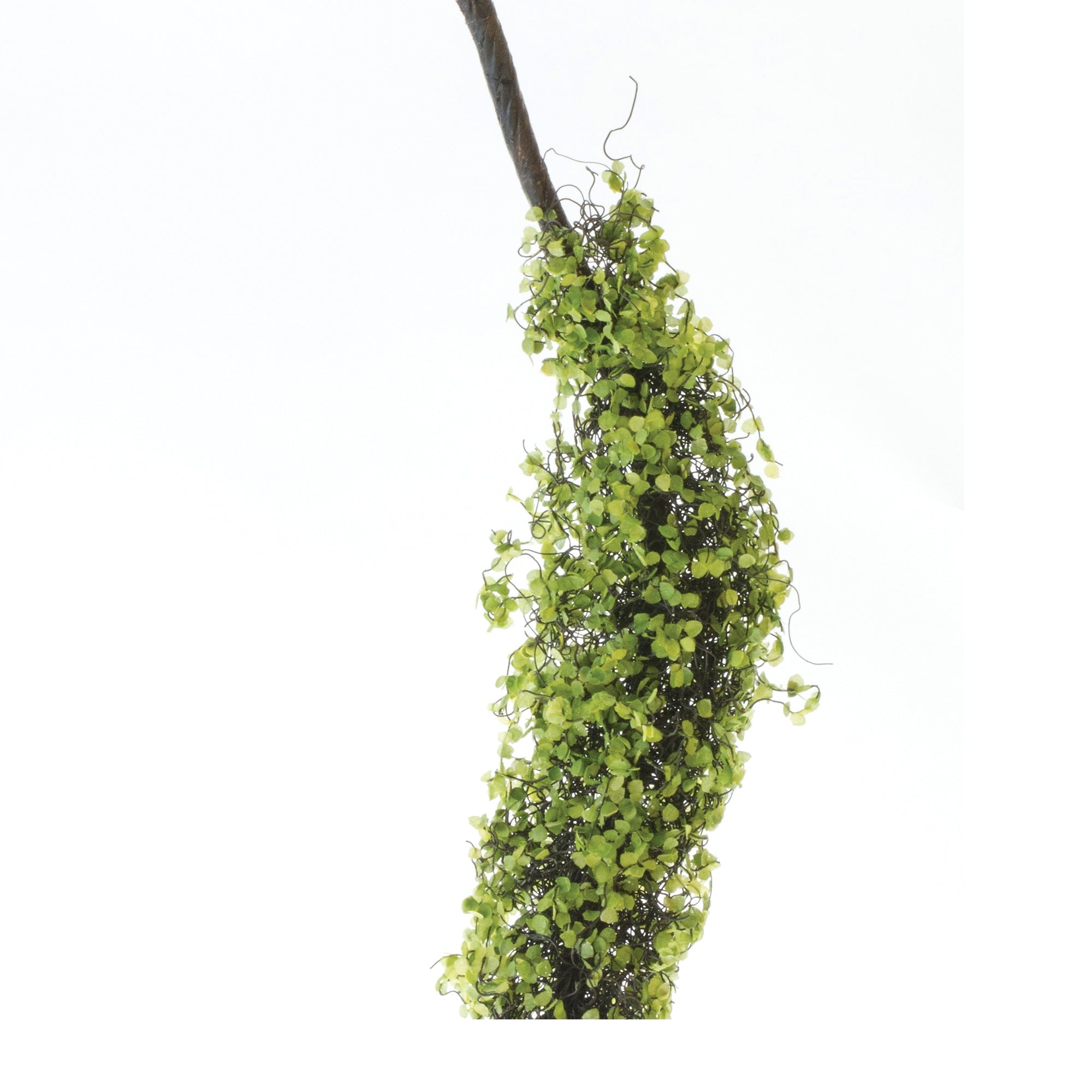 Moss Foliage Vine Branch, Set of 2