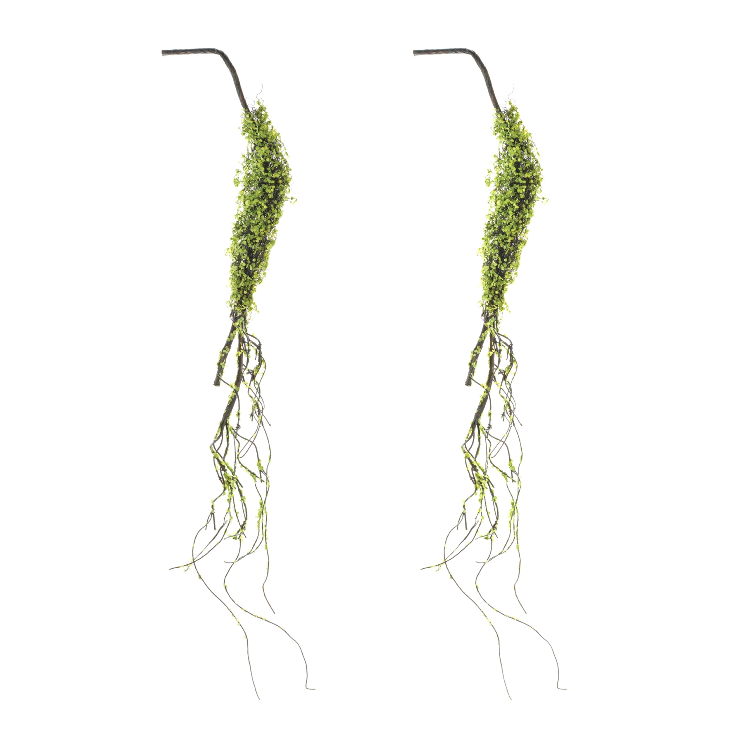 Moss Foliage Vine Branch, Set of 2