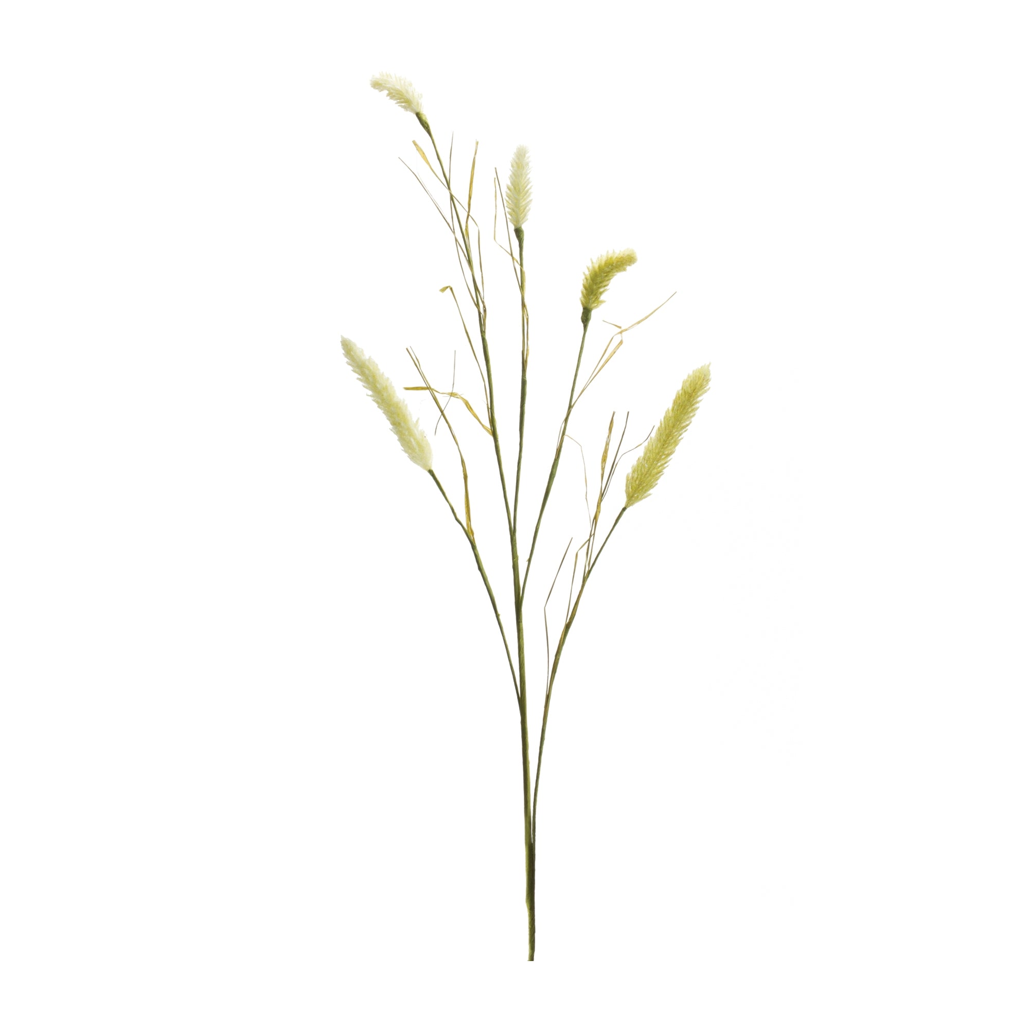 Foxtail Spray, Set of 6