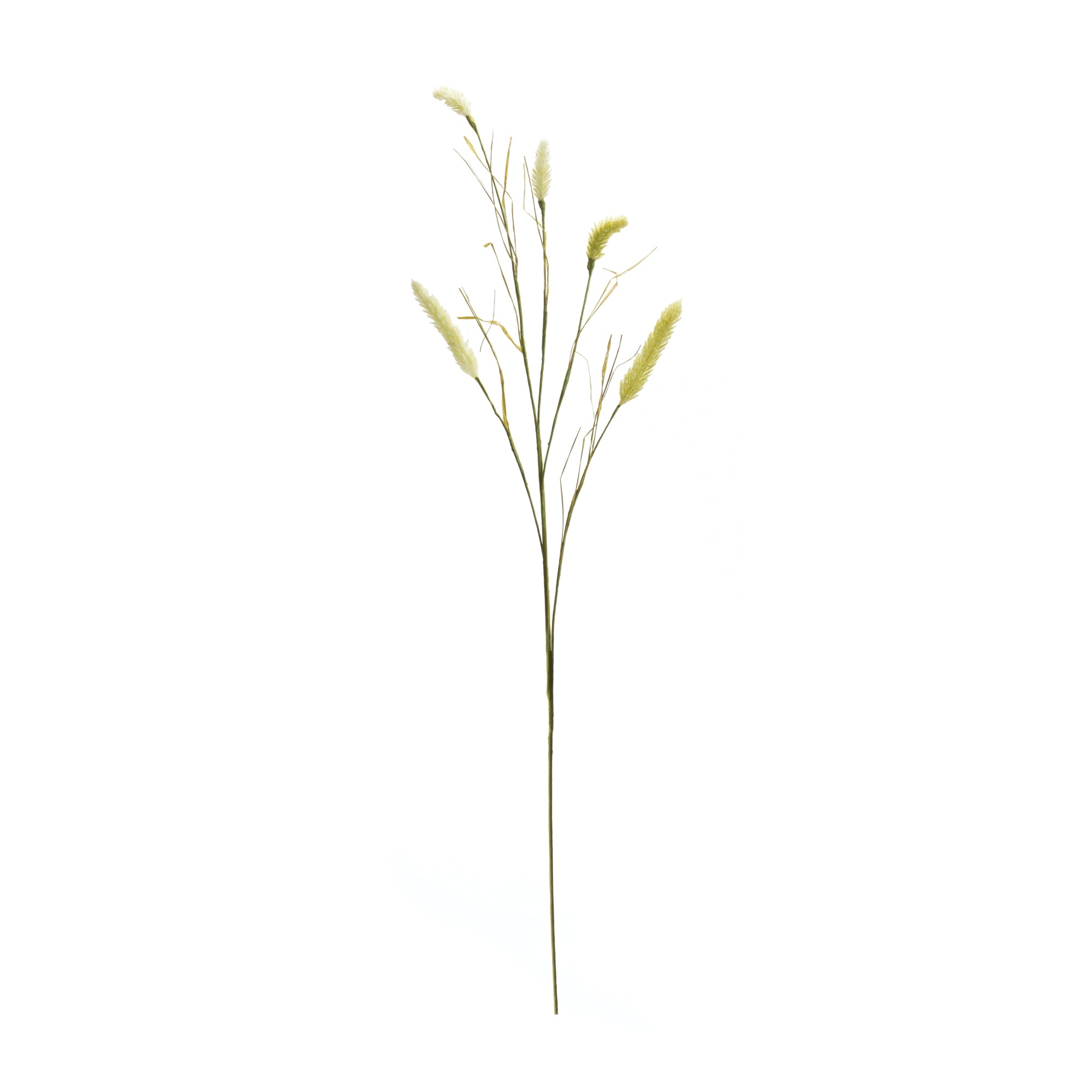 Foxtail Spray, Set of 6
