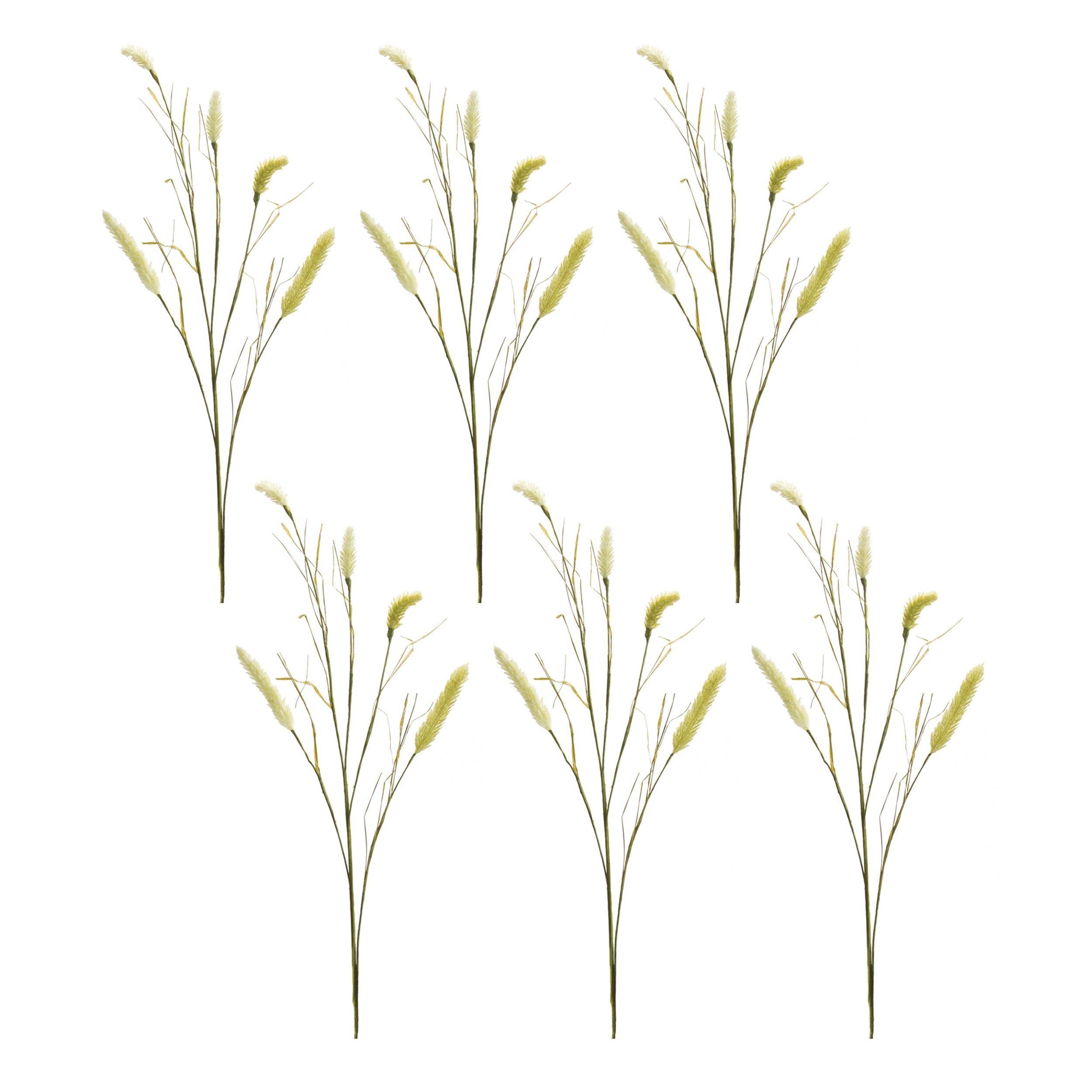 Foxtail Spray, Set of 6