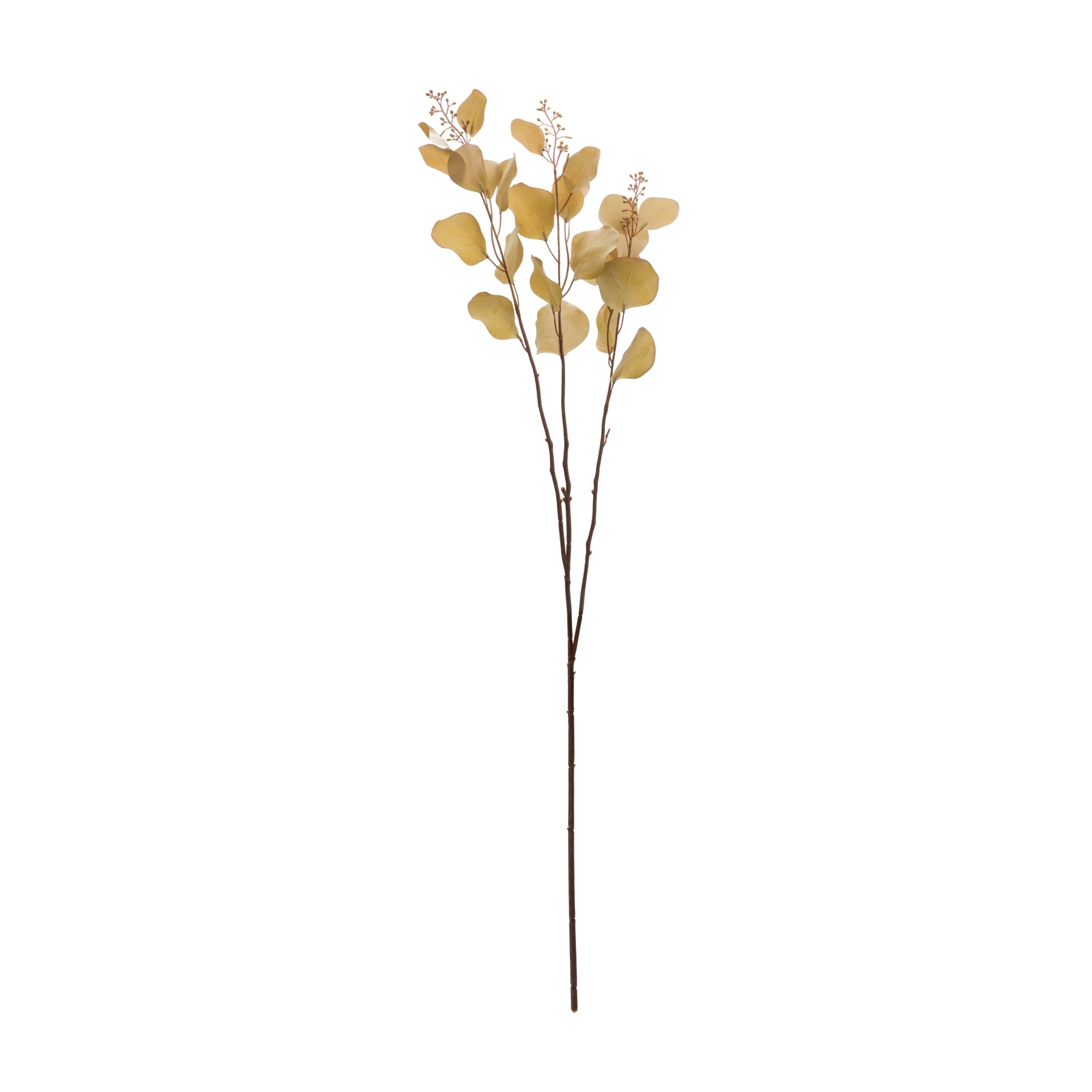 Seeded Eucalyptus Stem, Set of 2