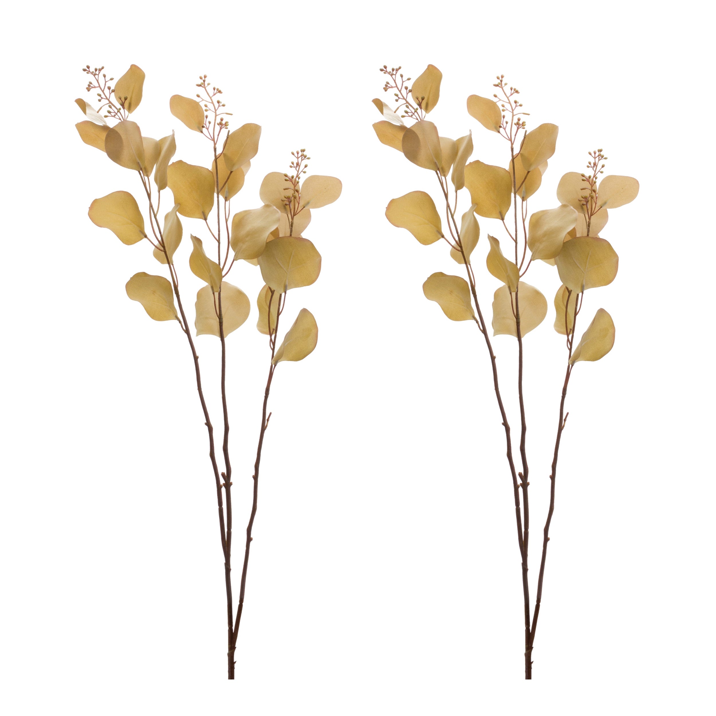 Seeded Eucalyptus Stem, Set of 2