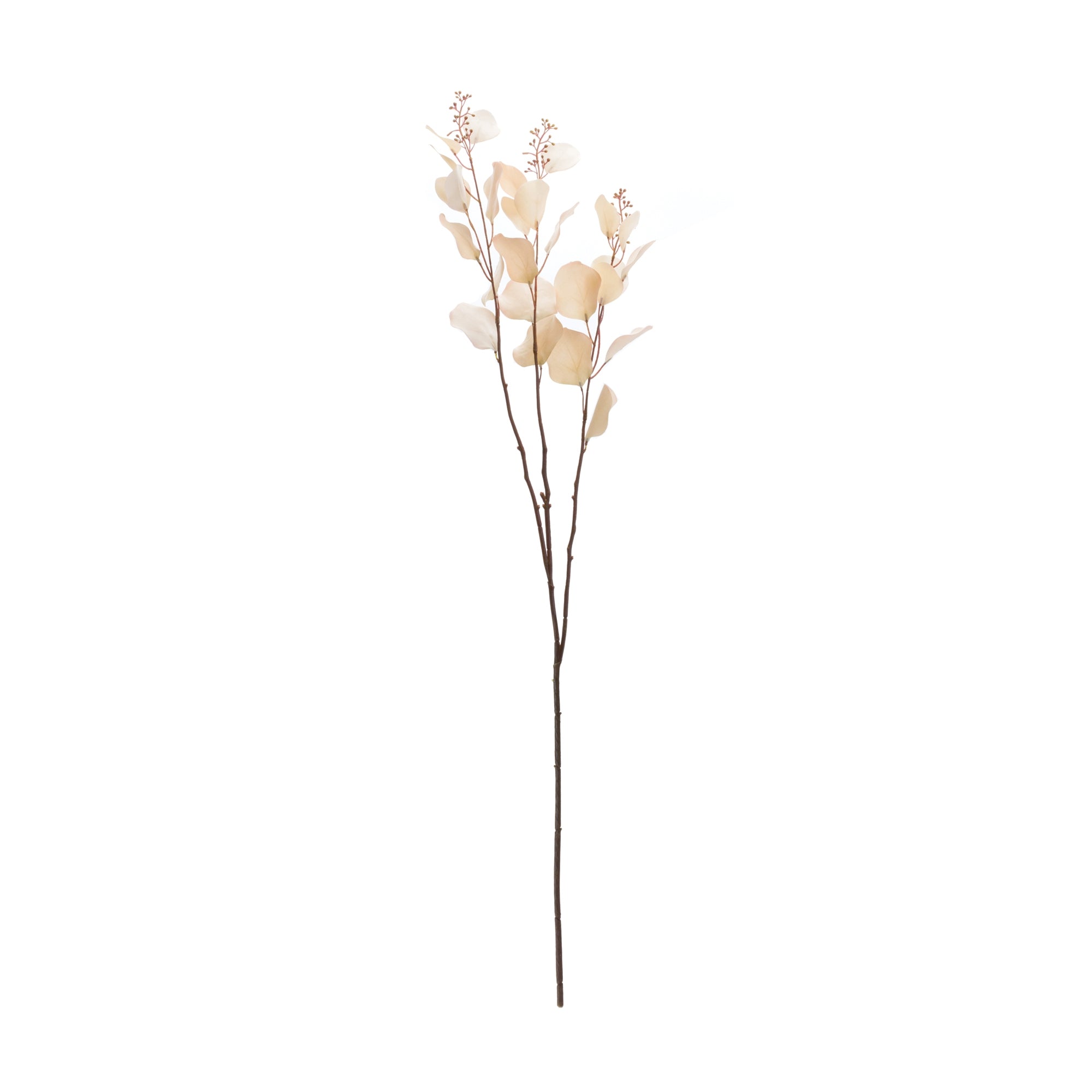 Seeded Eucalyptus Stem, Set of 2