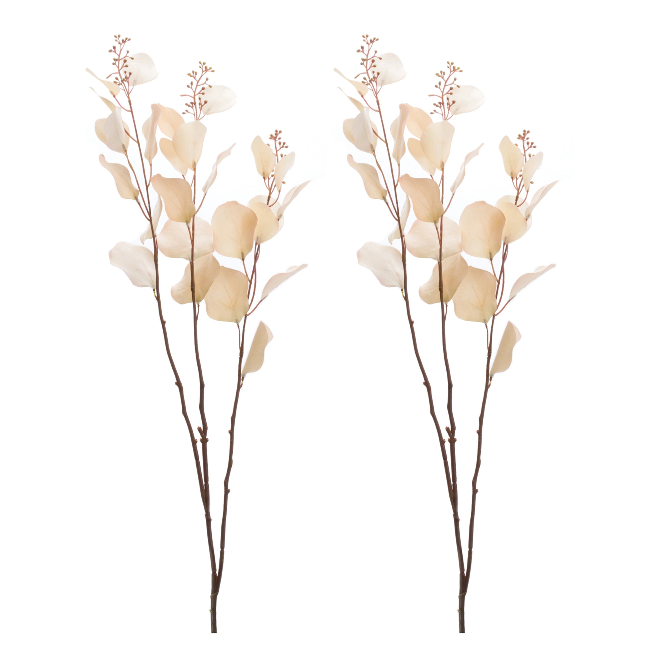 Seeded Eucalyptus Stem, Set of 2