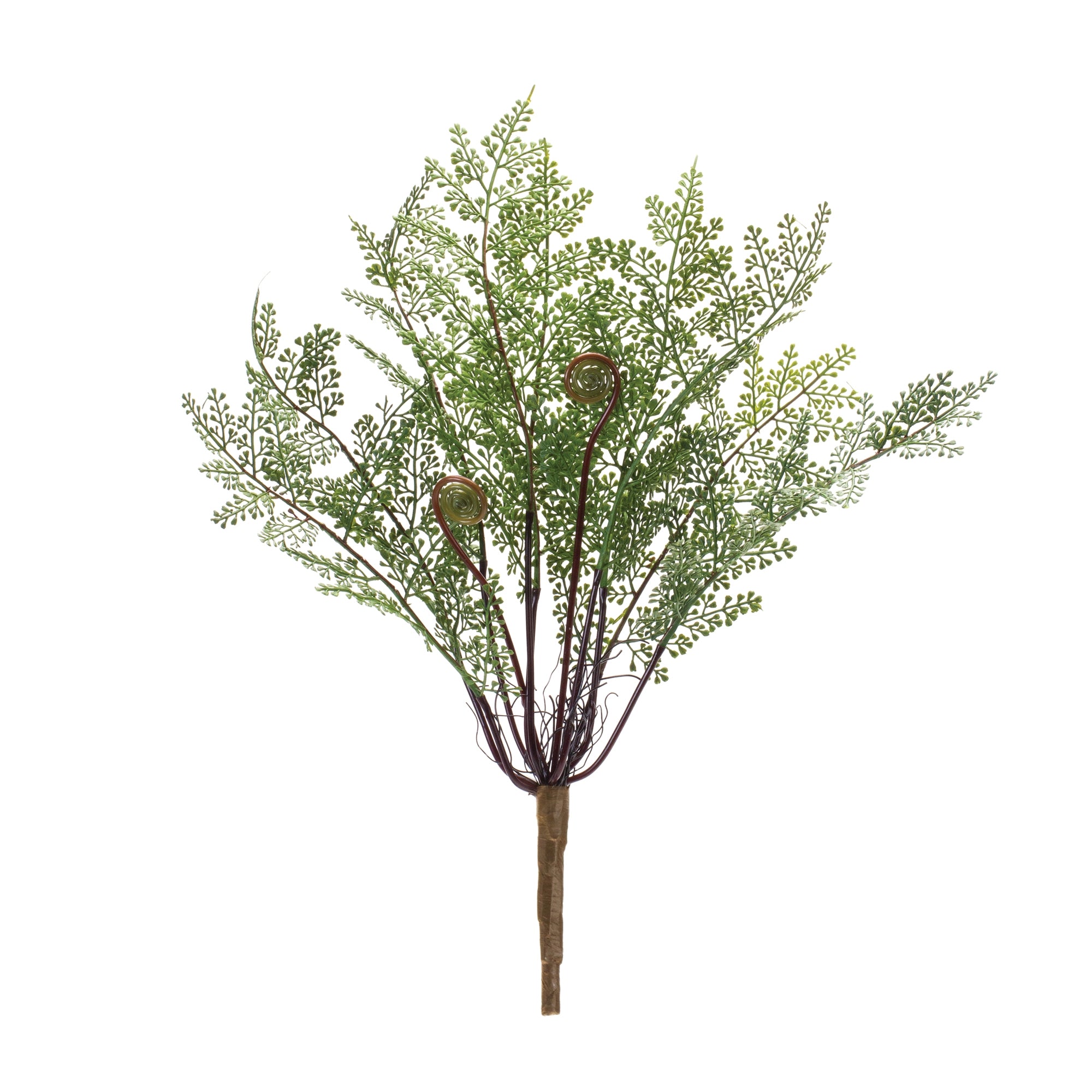 Fern Bush, Set of 2