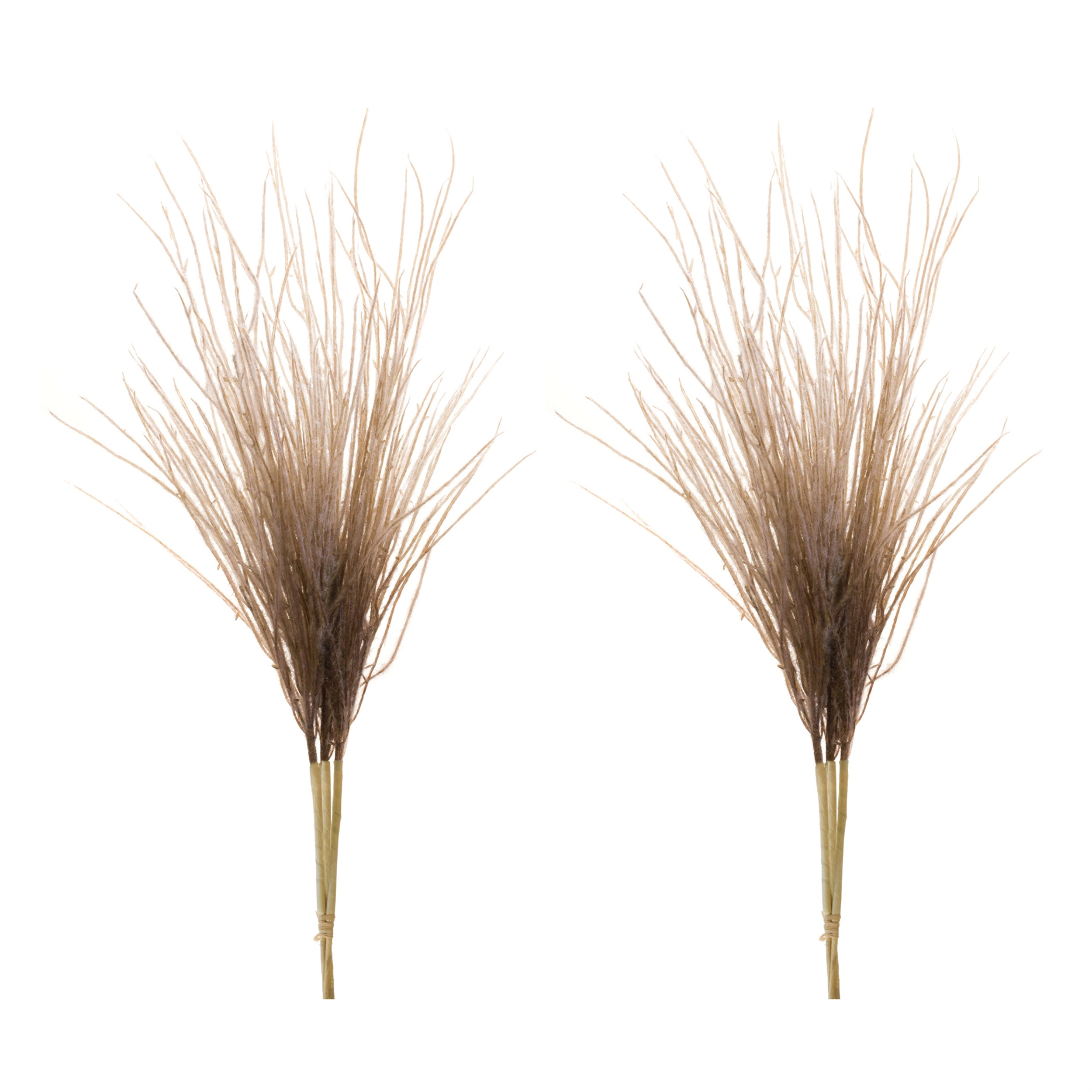 Grass Plume Bundle, Set of 2