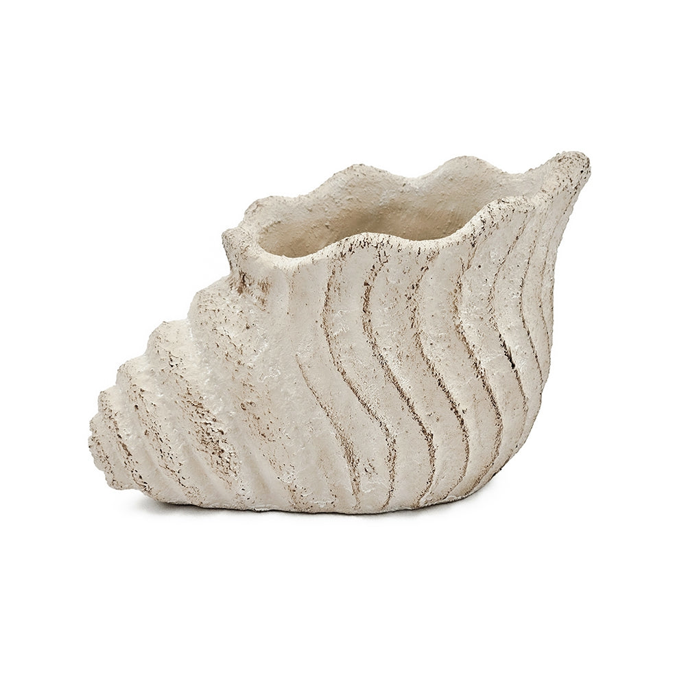 Conch Shell Planter with Textured Finish