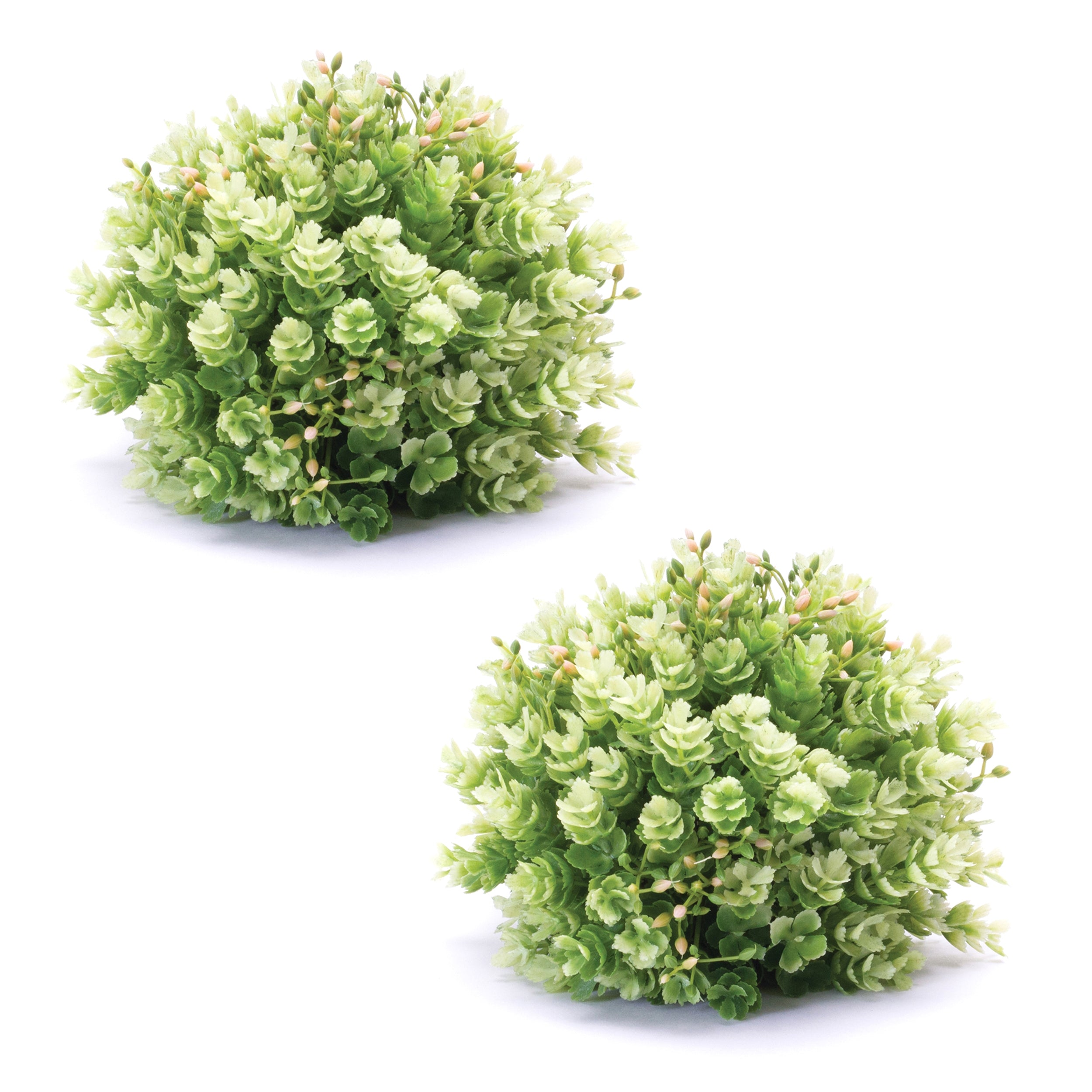 Foliage Half Orb, Set of 2