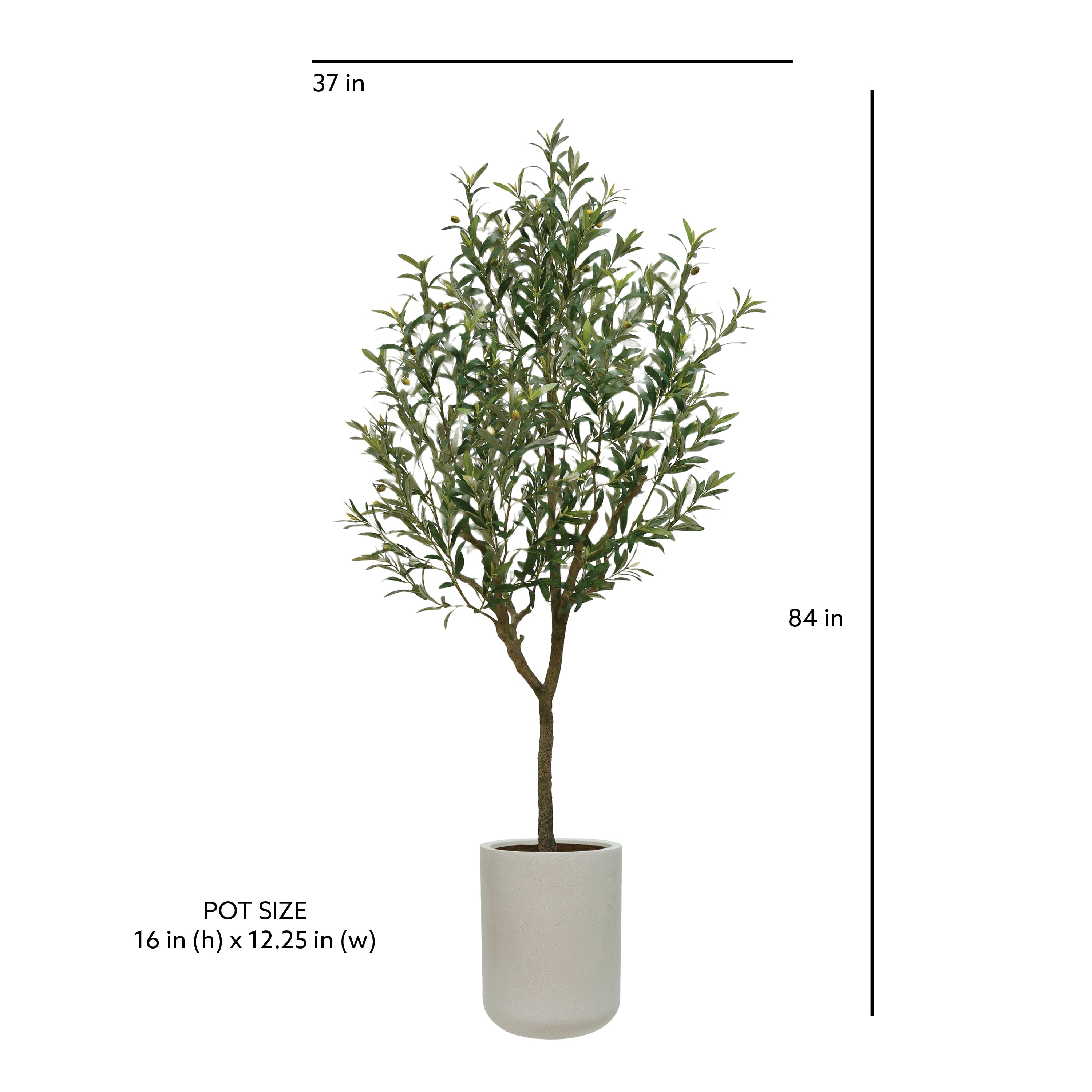 CG Hunter Faux Olive Tree 7' in modern planter