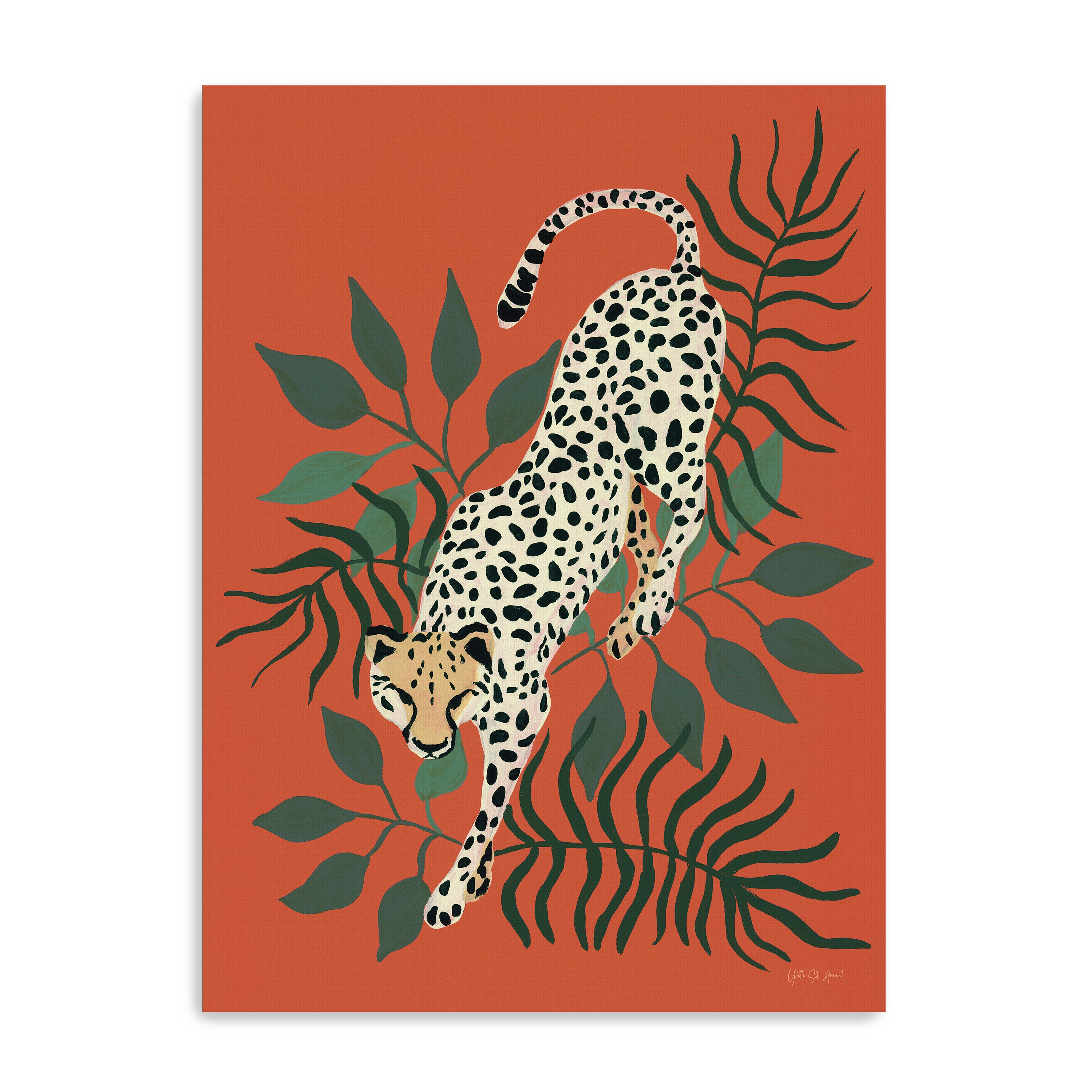 Prowling Cheetah  Canvas Giclee