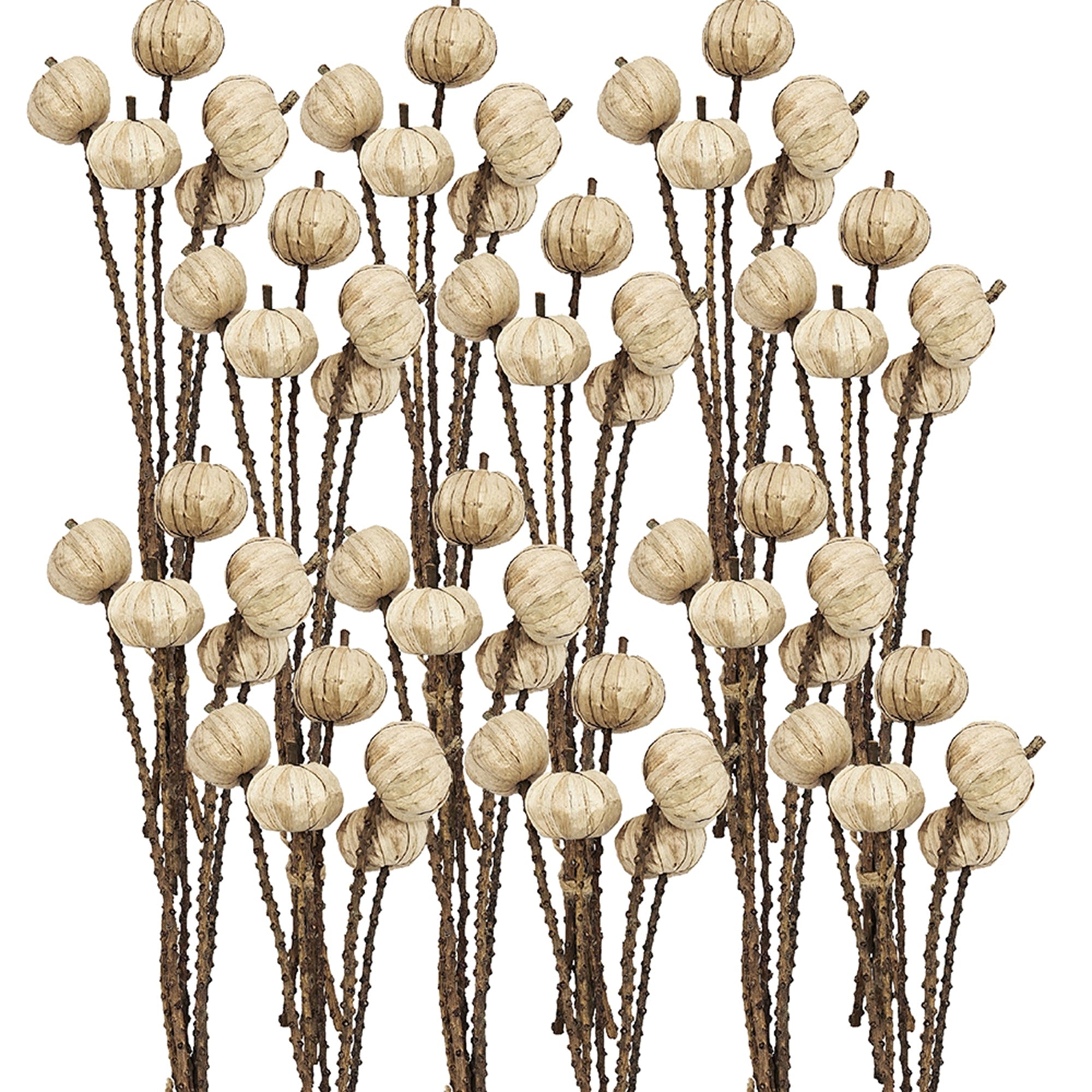 Set of 12, 23.5" Pumpkin Pod Twig Bunches