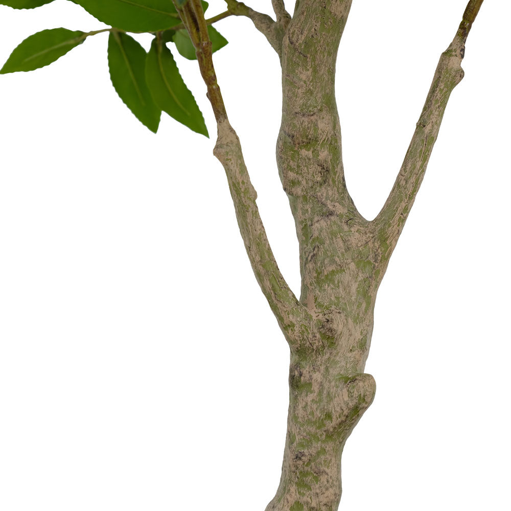 Faux Potted Laurel Tree, 7 ft