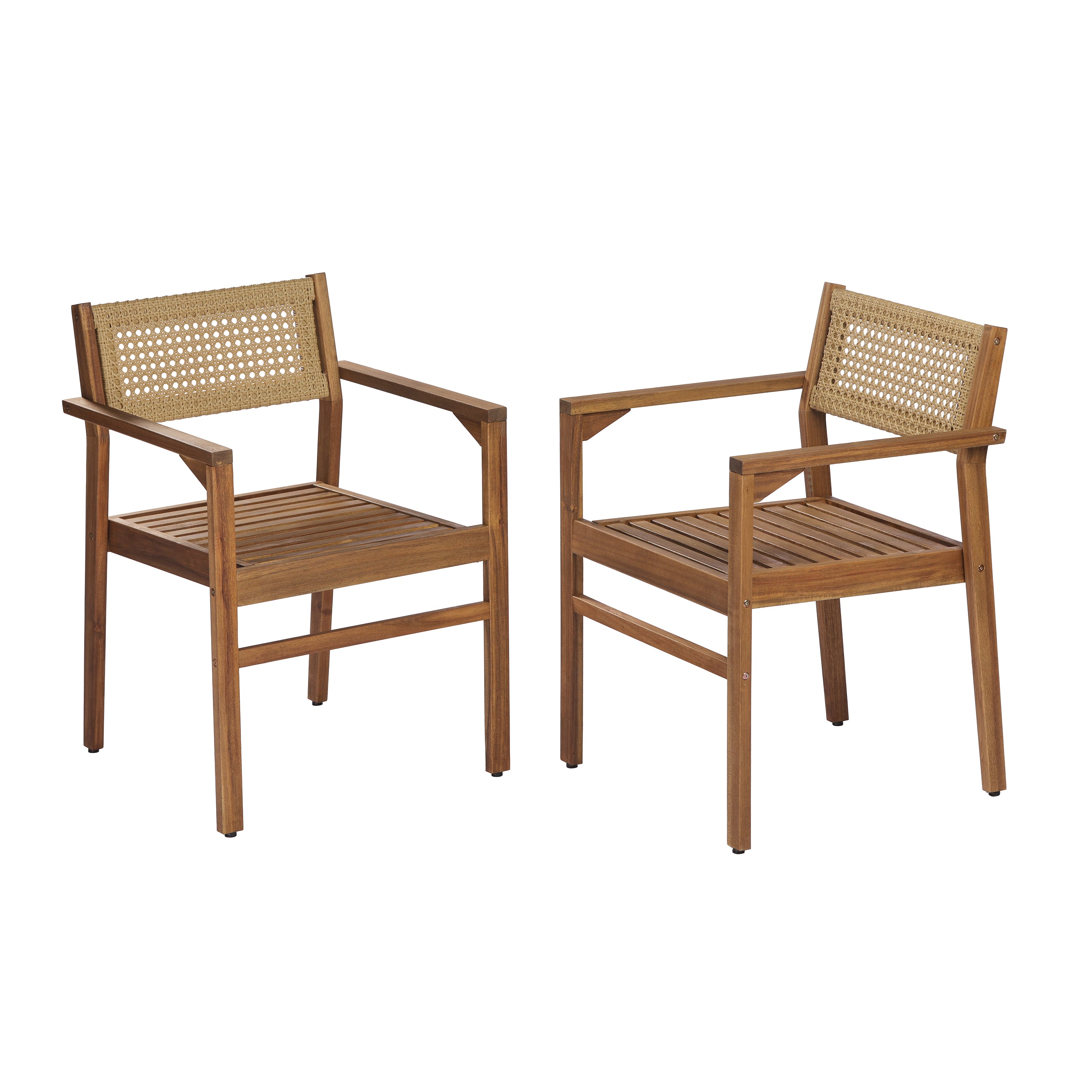 Dining Chair (Set of 2)