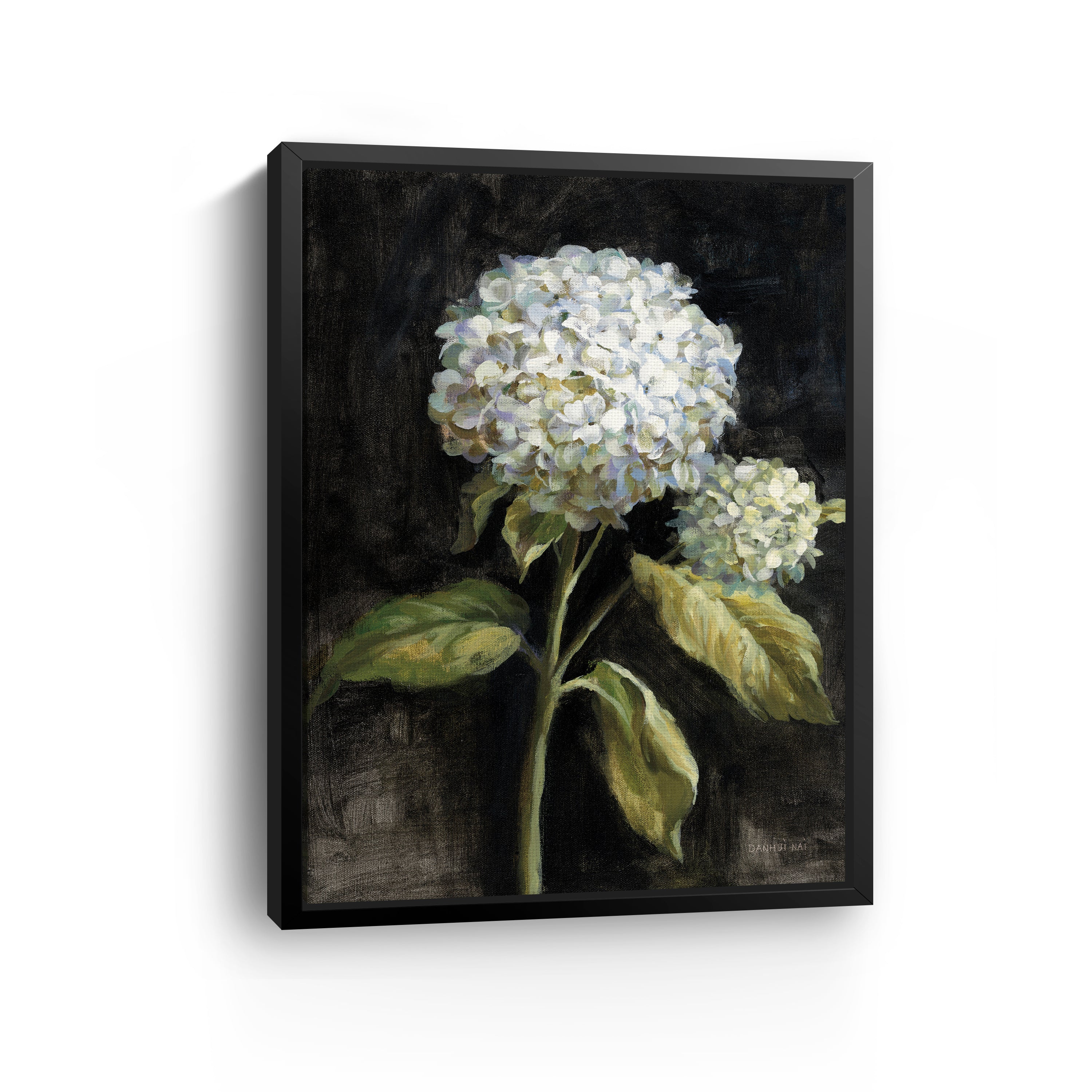 Hydrangea on Black Canvas Giclee