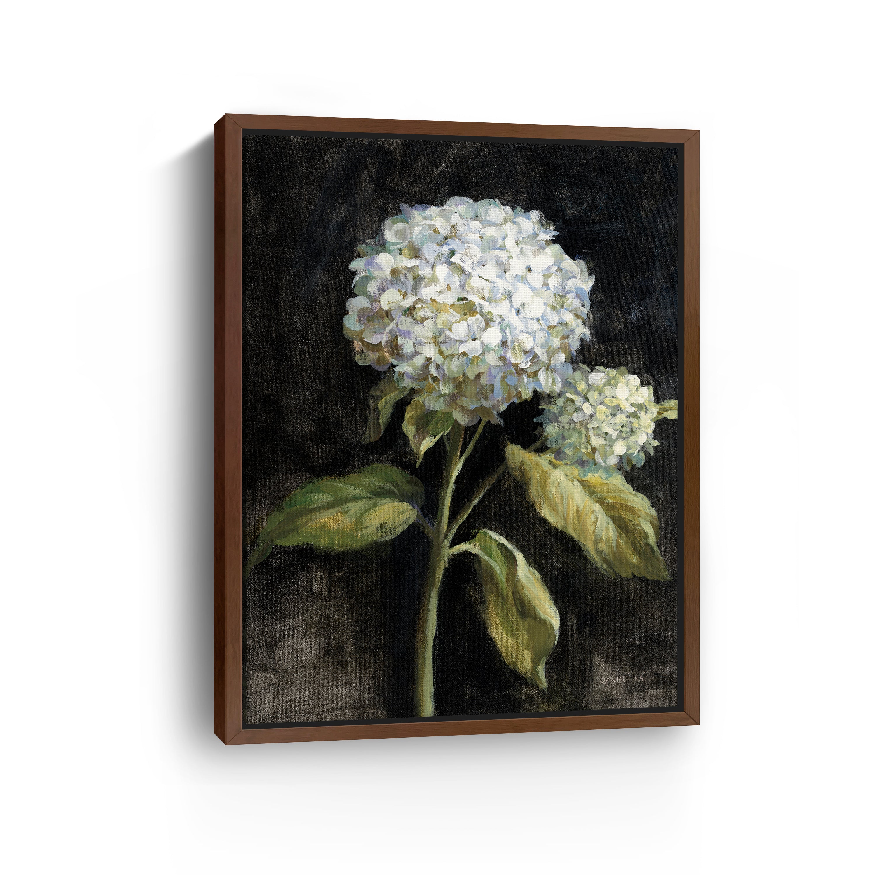 Hydrangea on Black Canvas Giclee