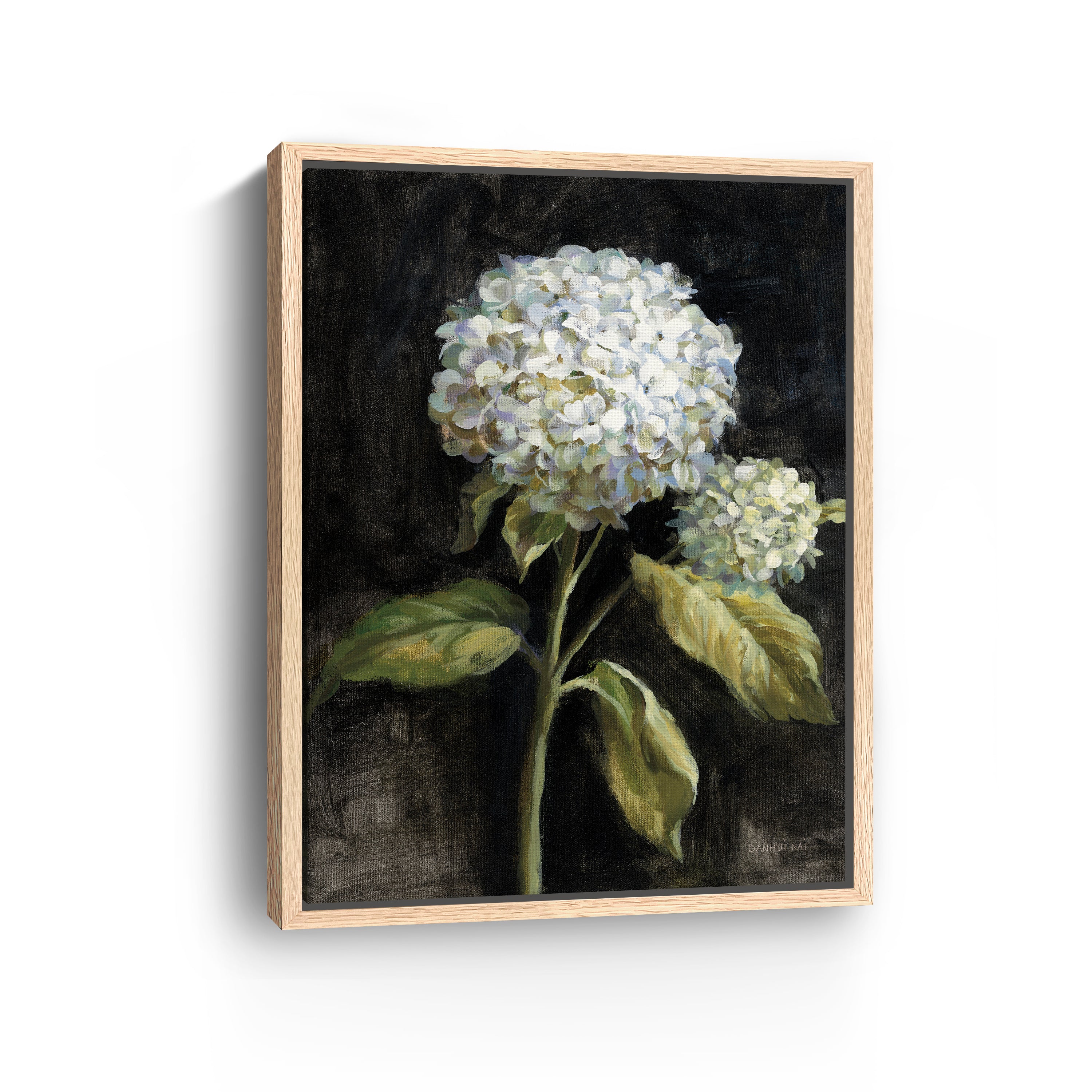 Hydrangea on Black Canvas Giclee