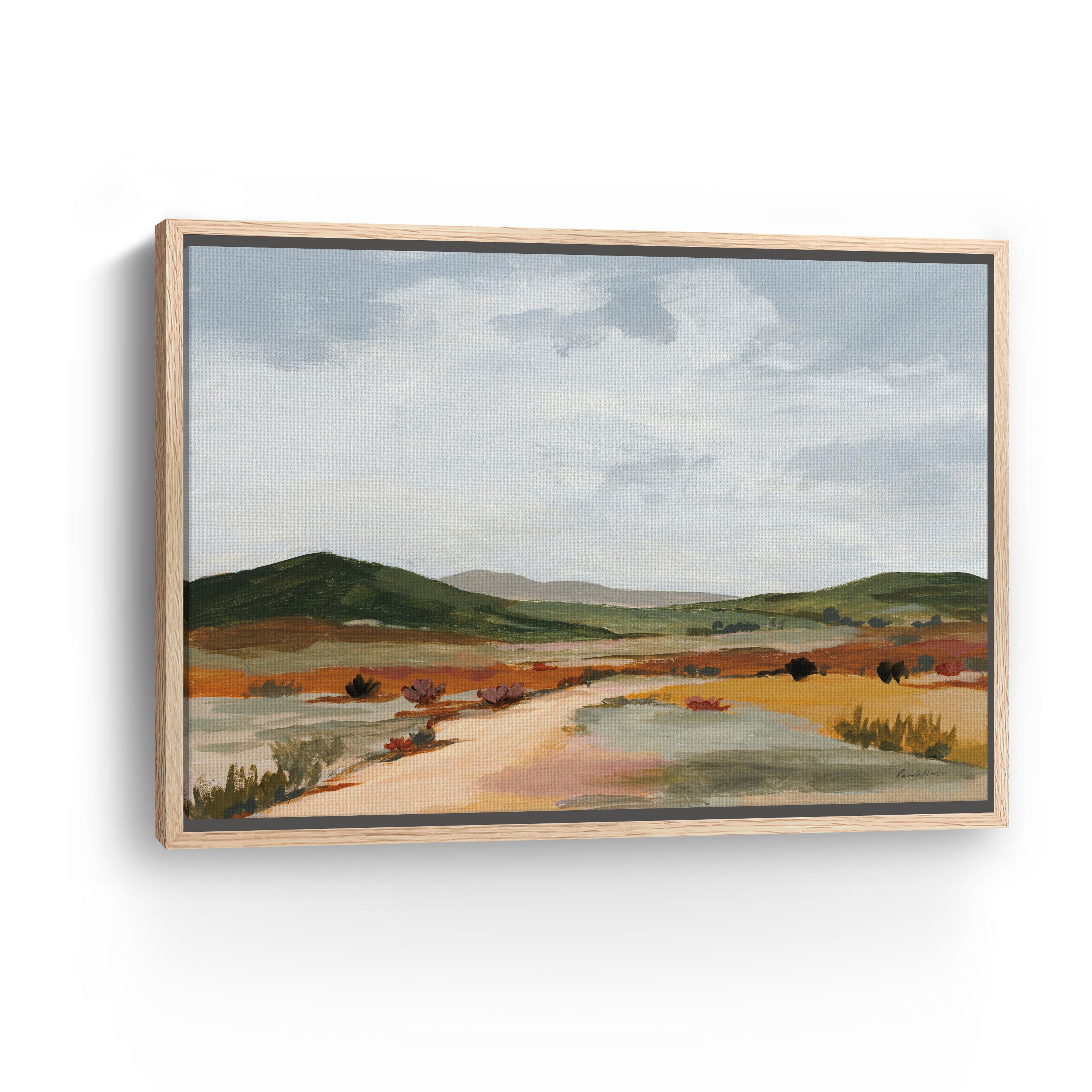 Desert Floor Canvas Giclee