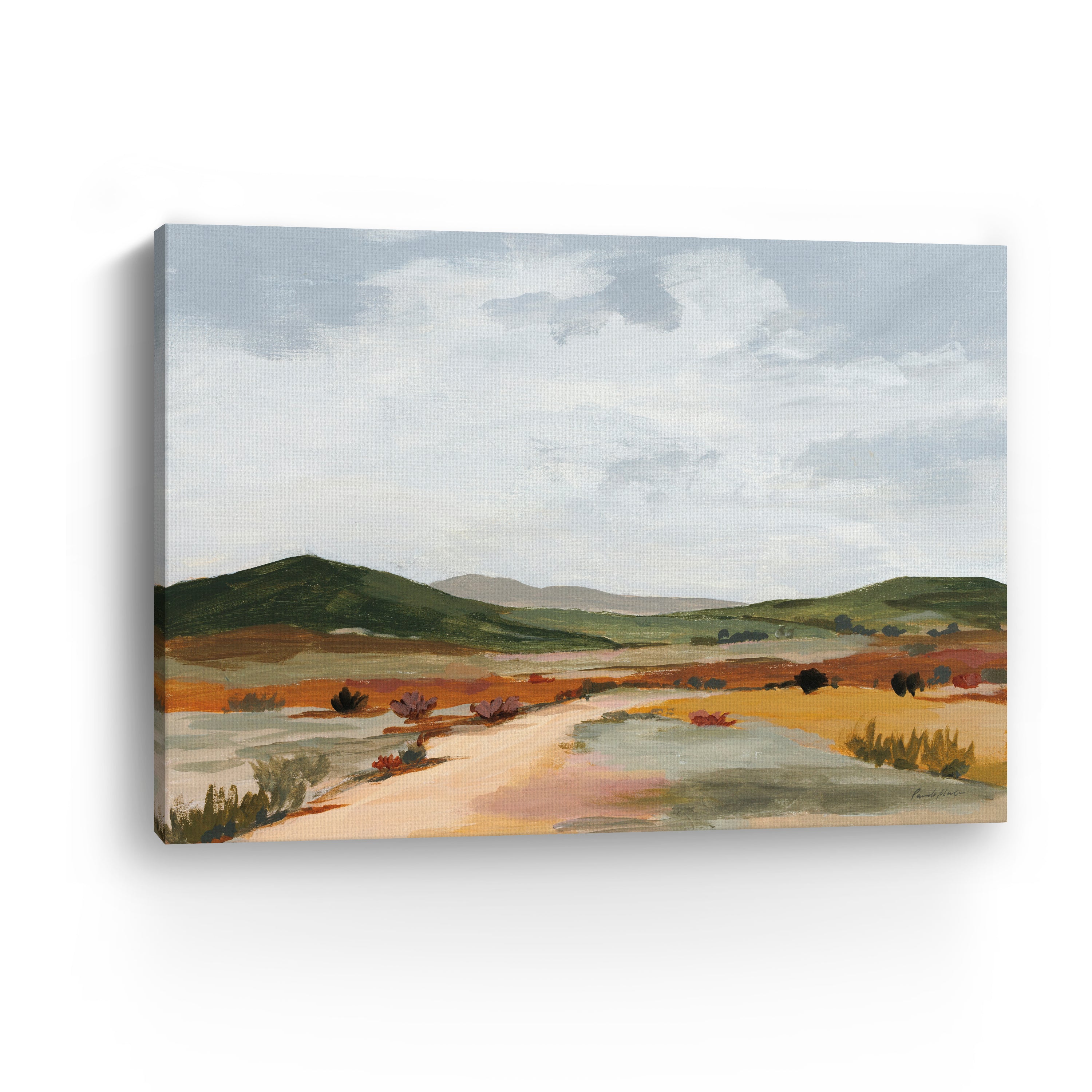 Desert Floor Canvas Giclee