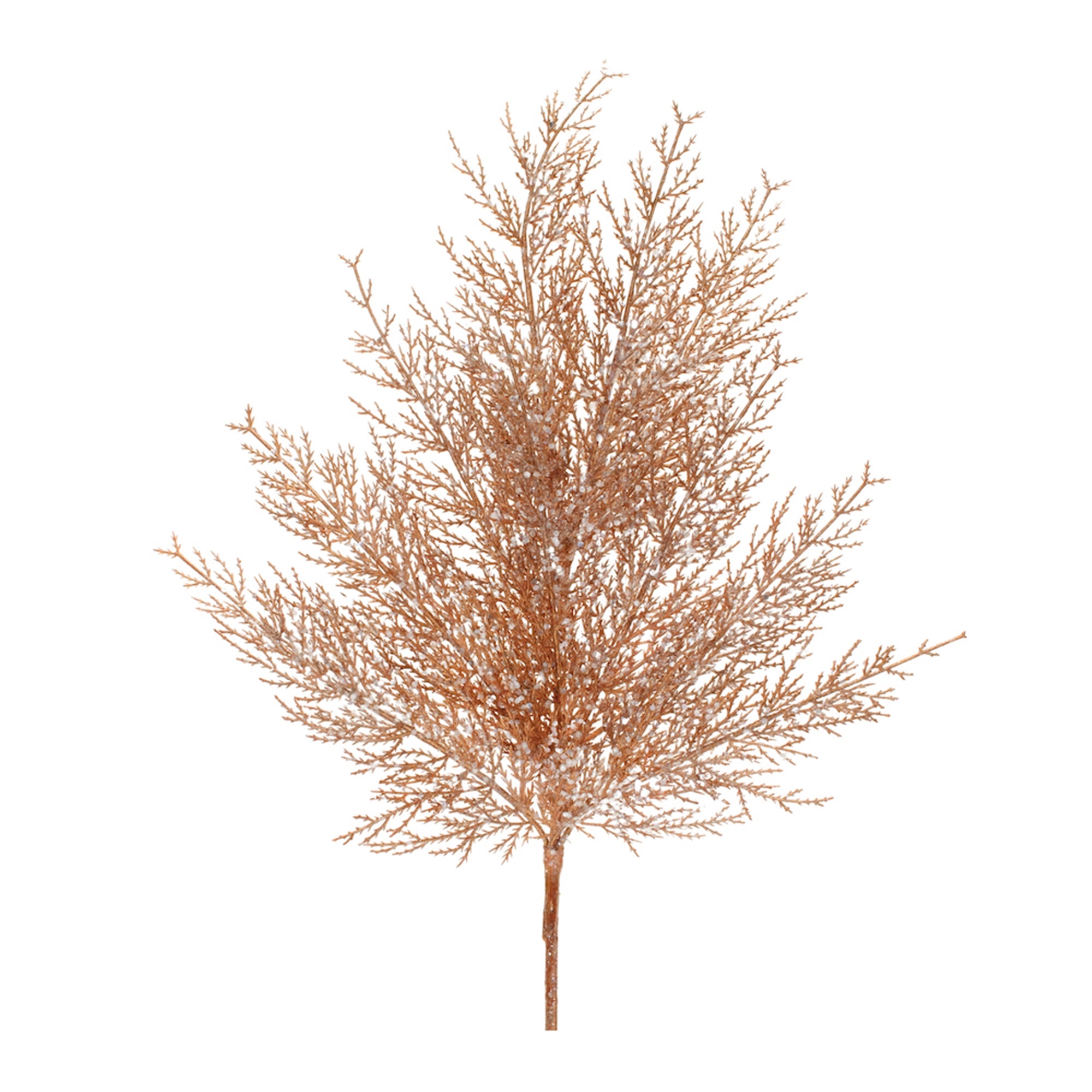 Cedar Spray, Set of 4