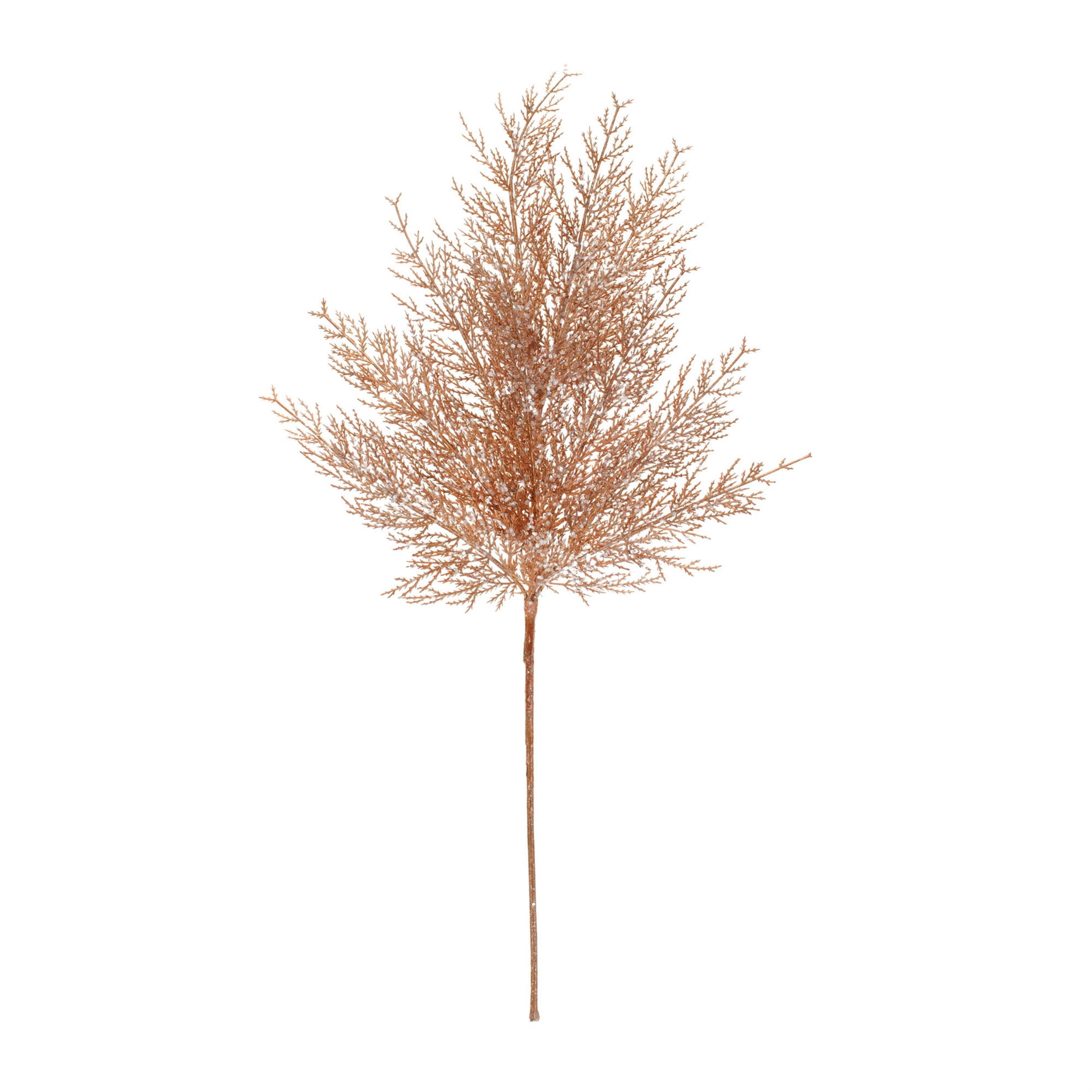 Cedar Spray, Set of 4
