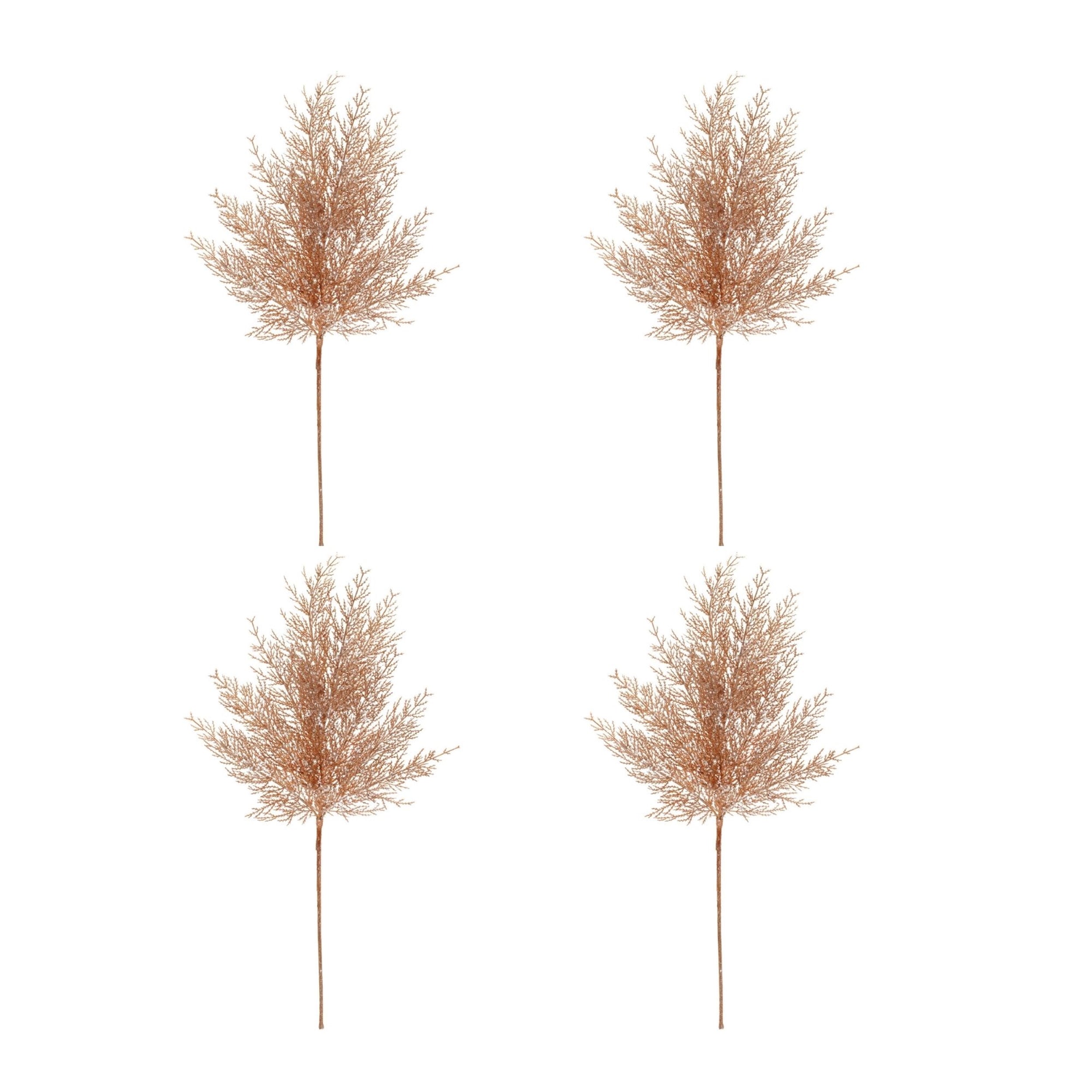 Cedar Spray, Set of 4