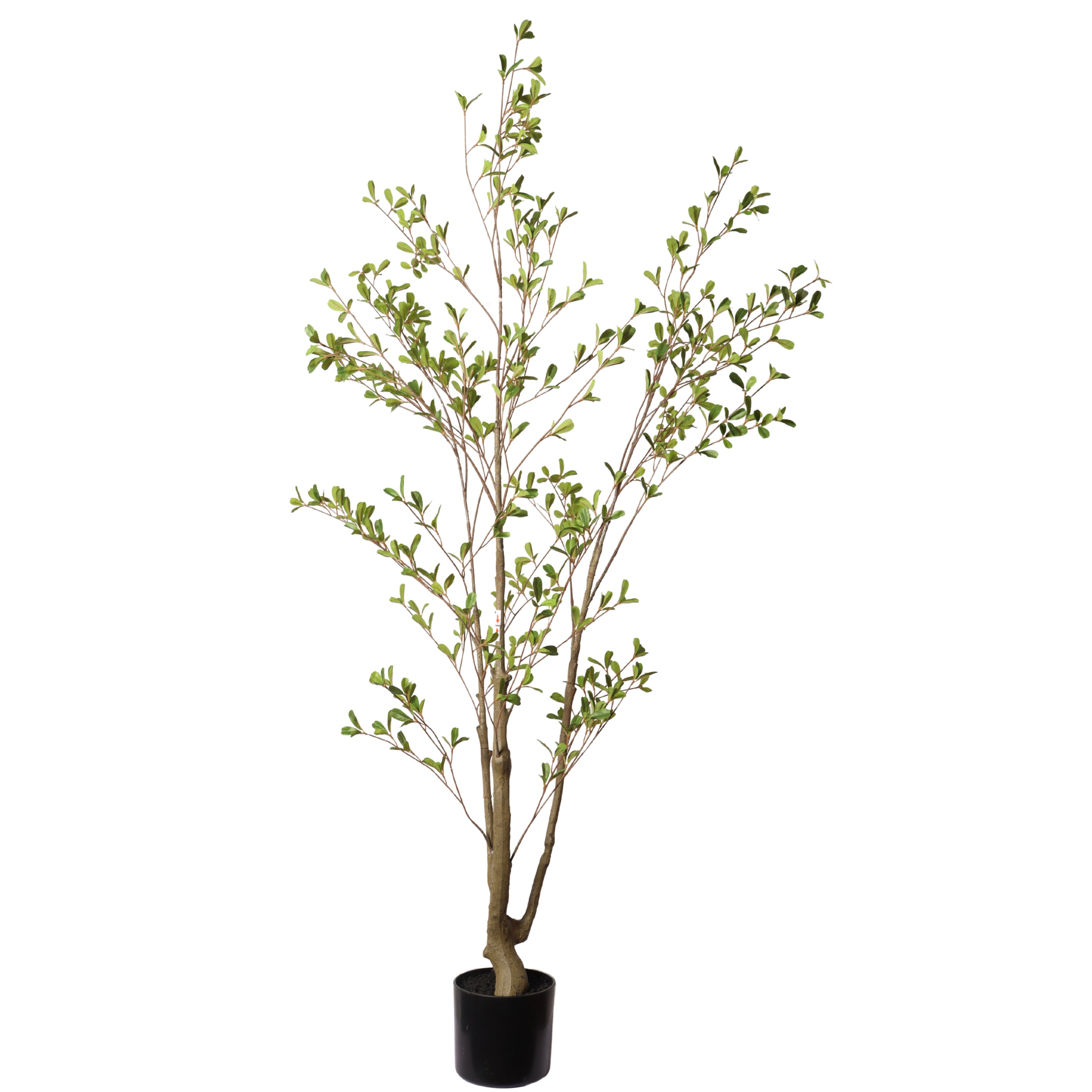 60" Lifelike Faux Olive Tree with Black Plastic Pot