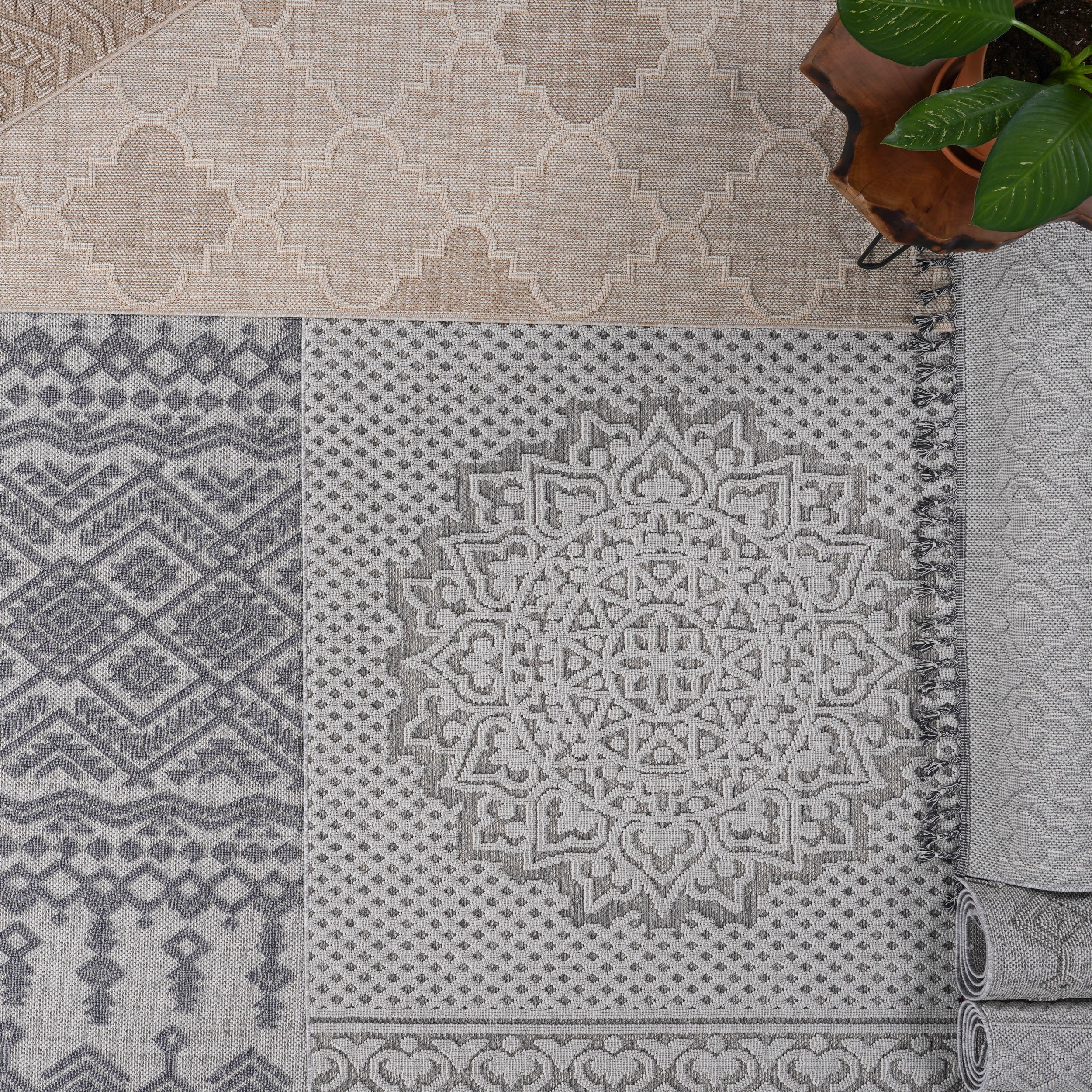 Amplifyy Area Rug with Intricate Geometric Patterns