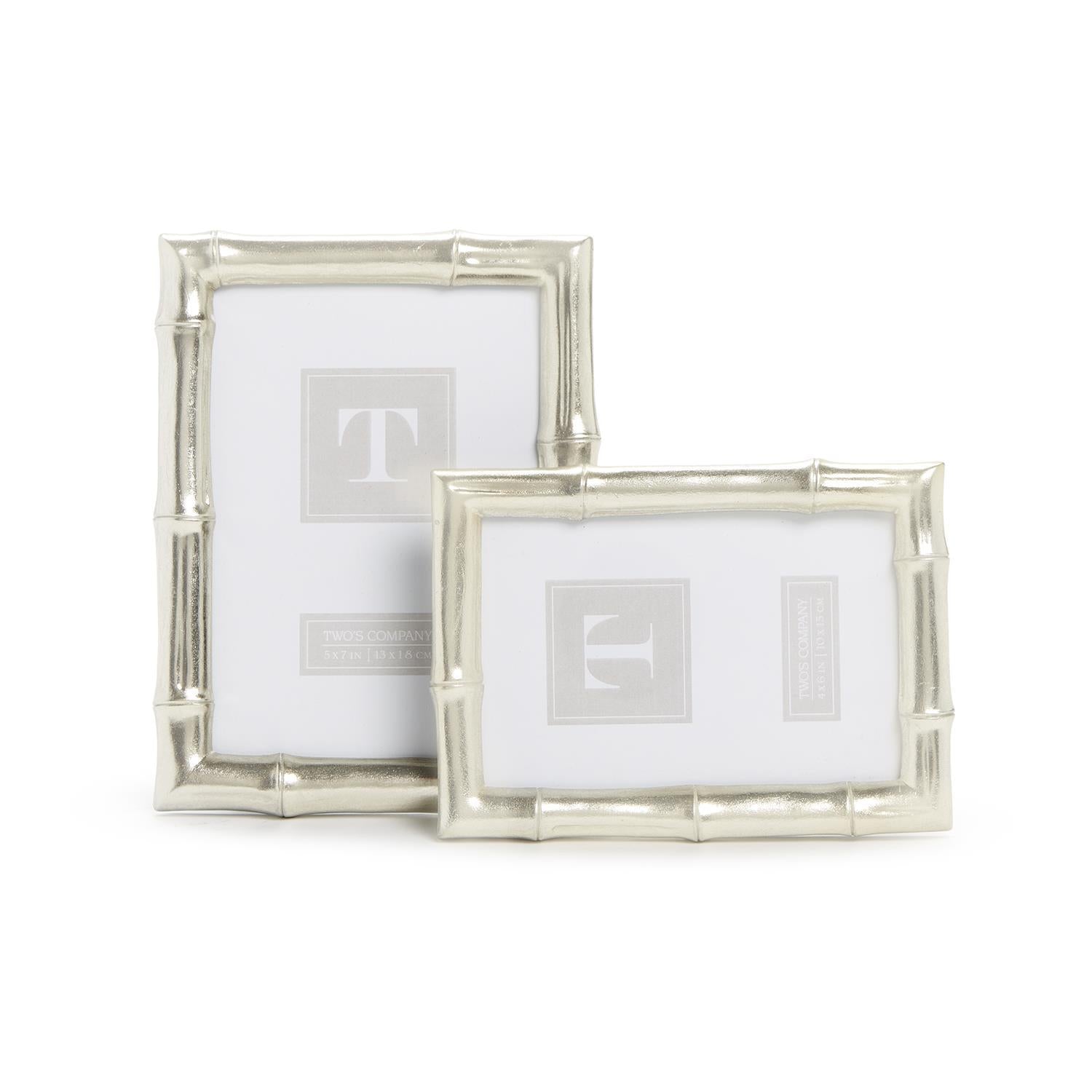 Silver Faux Bamboo Photo Frame, Set of 2