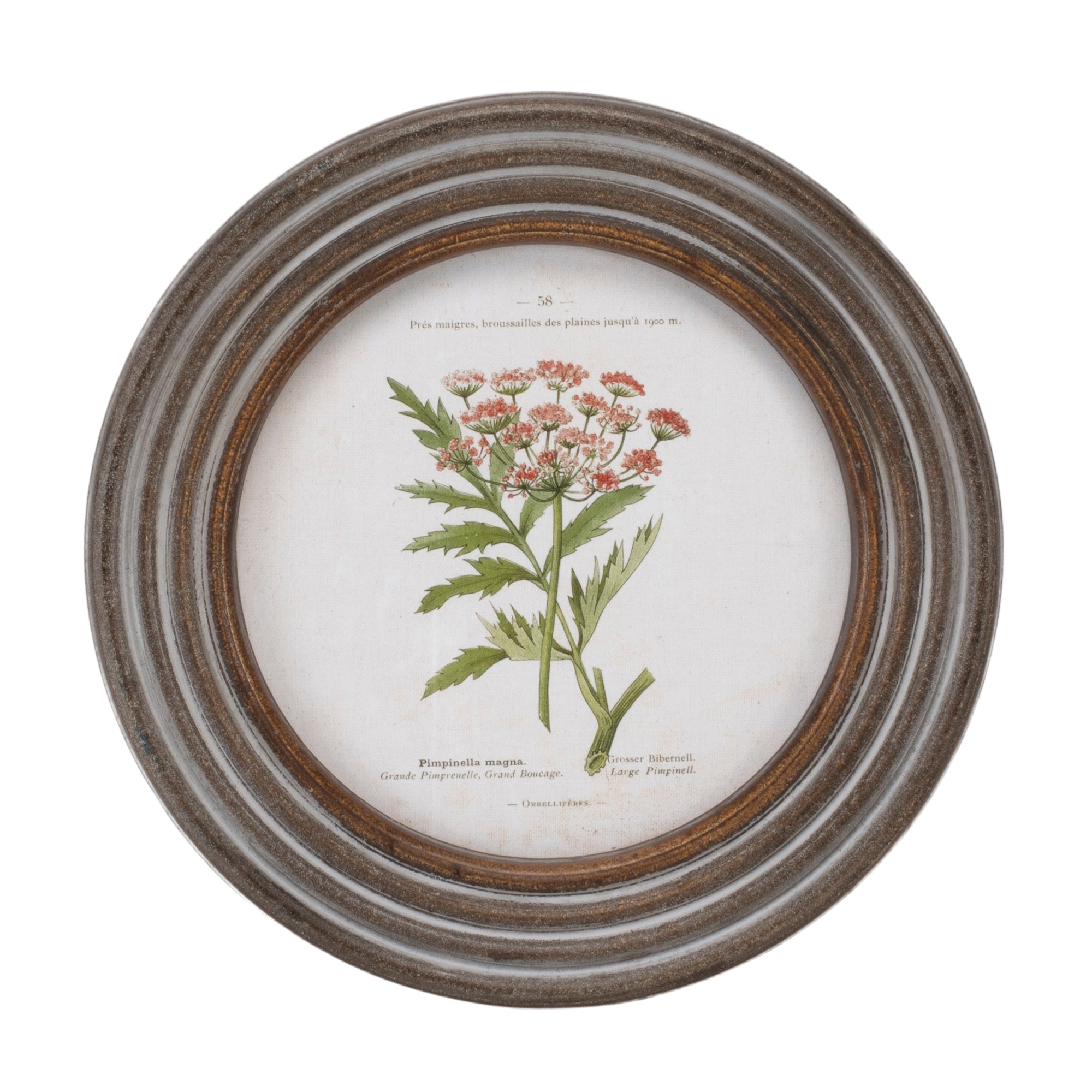 Round Framed Floral Print, Set of 6