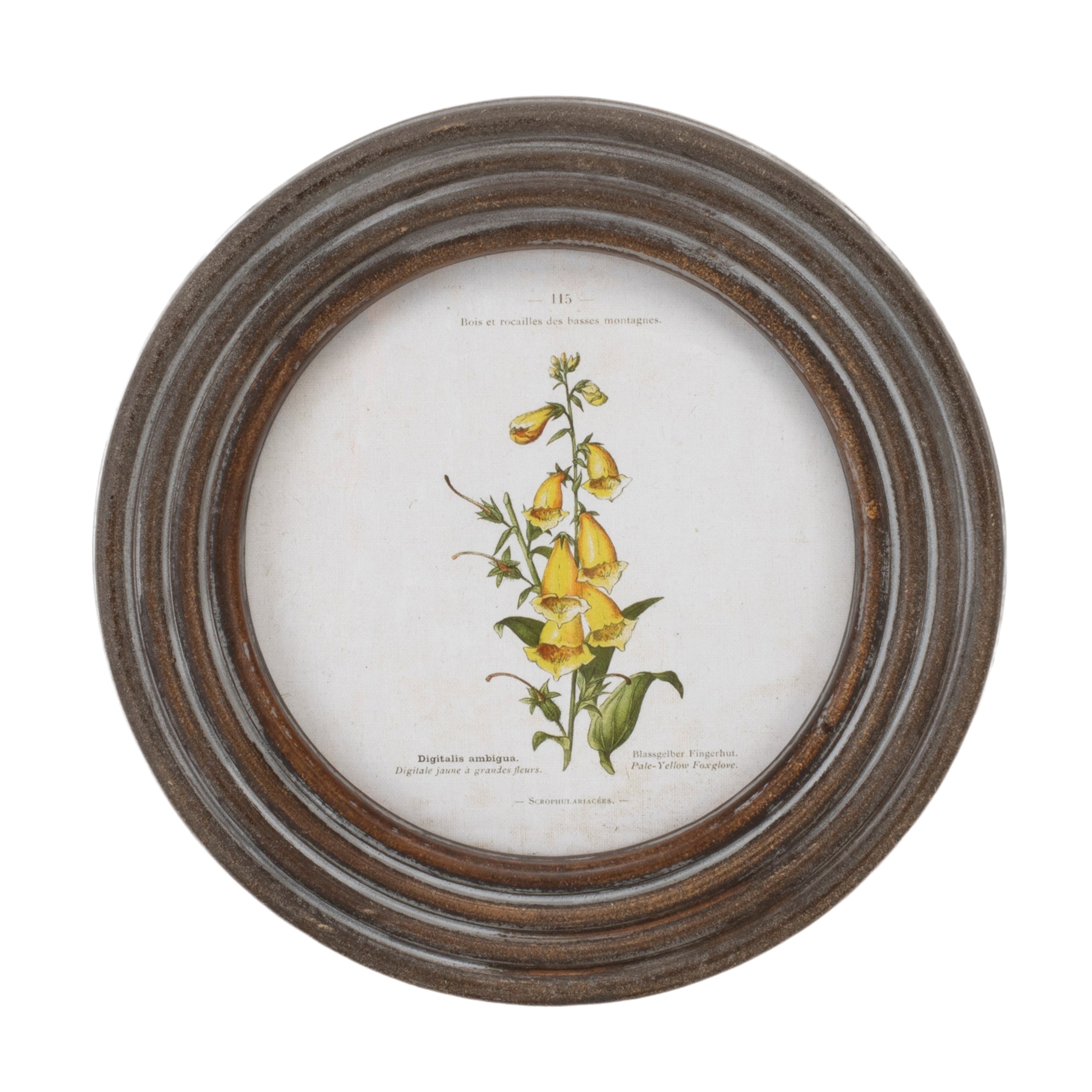 Round Framed Floral Print, Set of 6